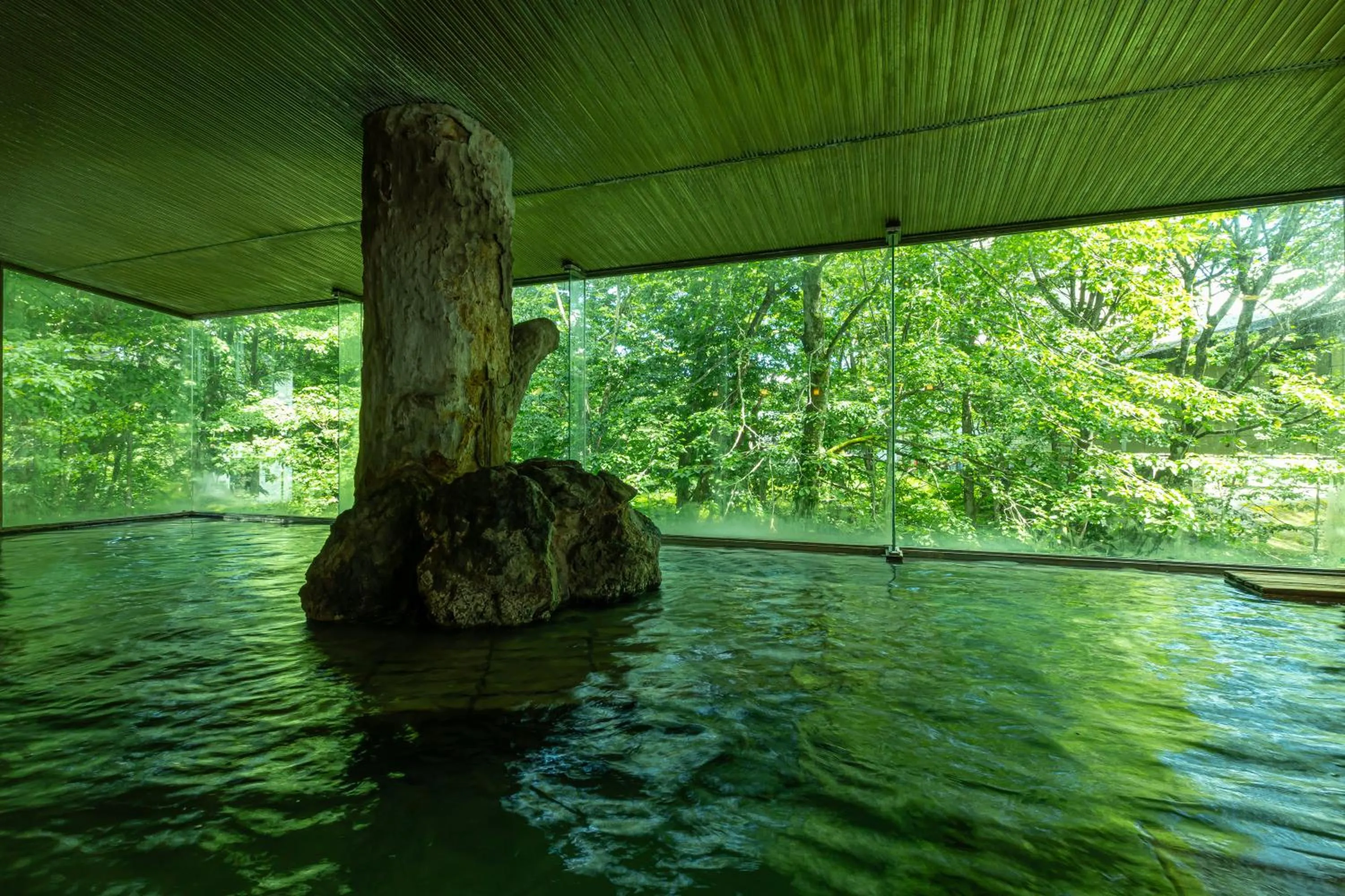 Hot Spring Bath in Plaza Hotel Sanrokuso