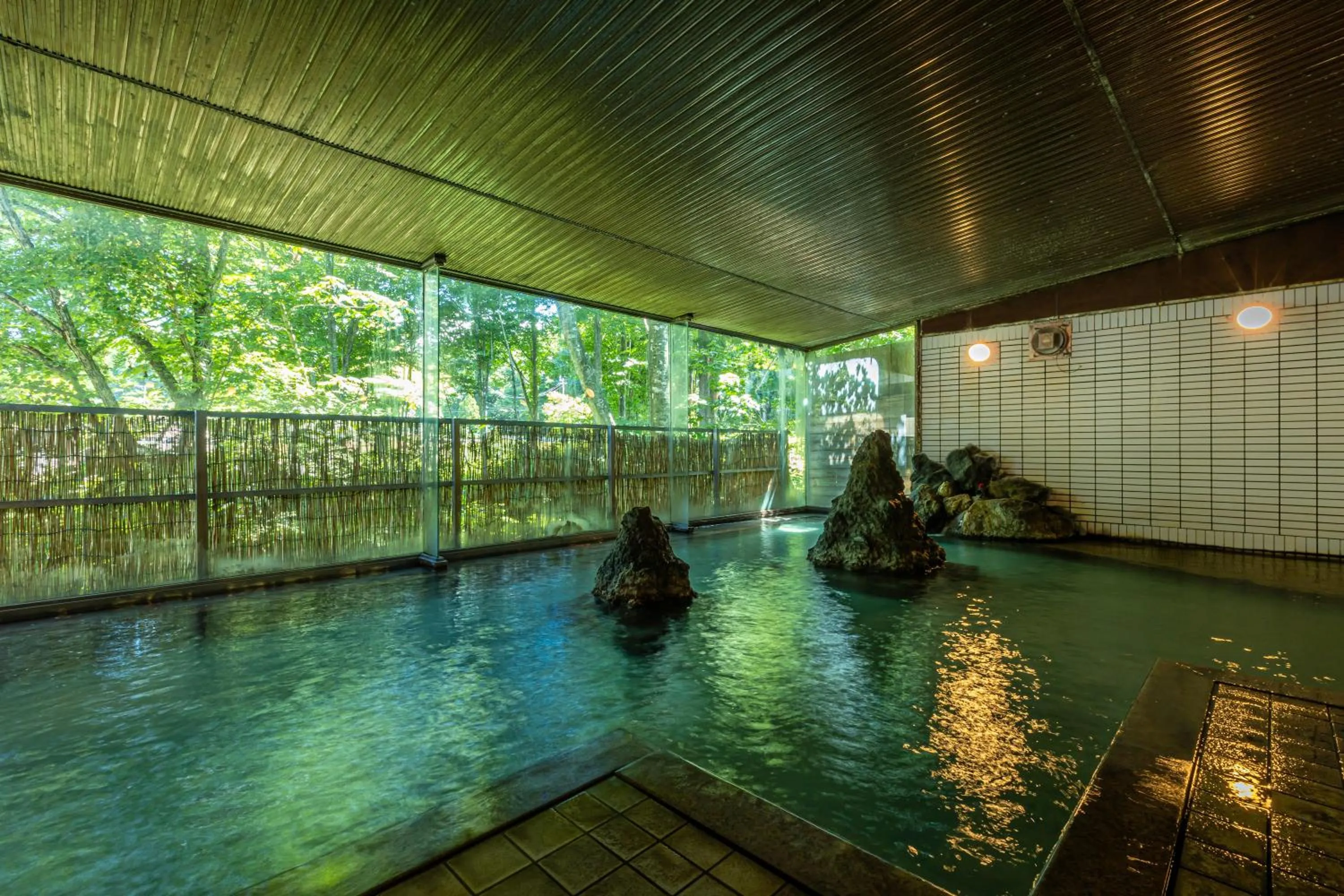 Hot Spring Bath, Swimming Pool in Plaza Hotel Sanrokuso