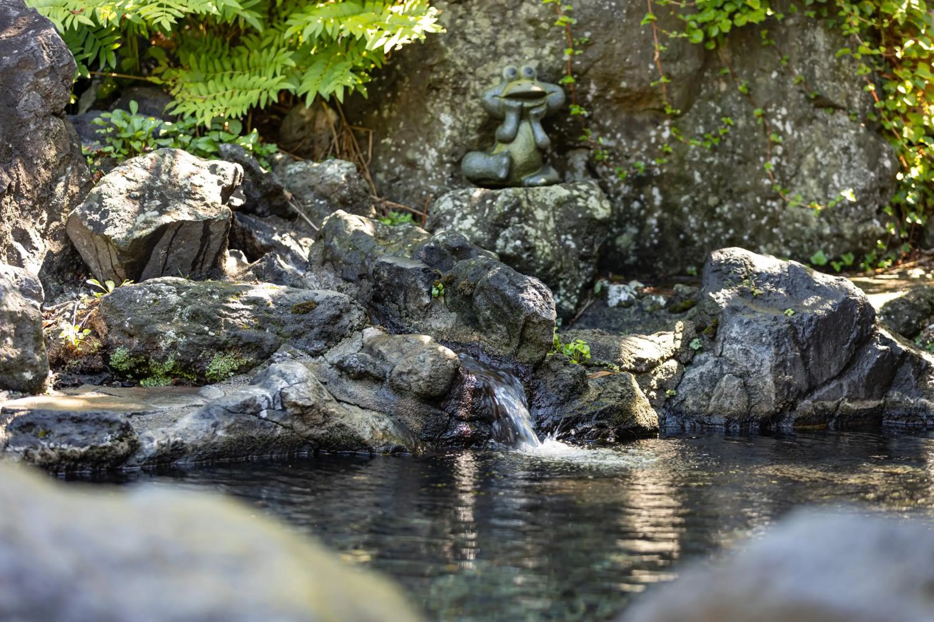 Hot Spring Bath, Other Animals in Plaza Hotel Sanrokuso