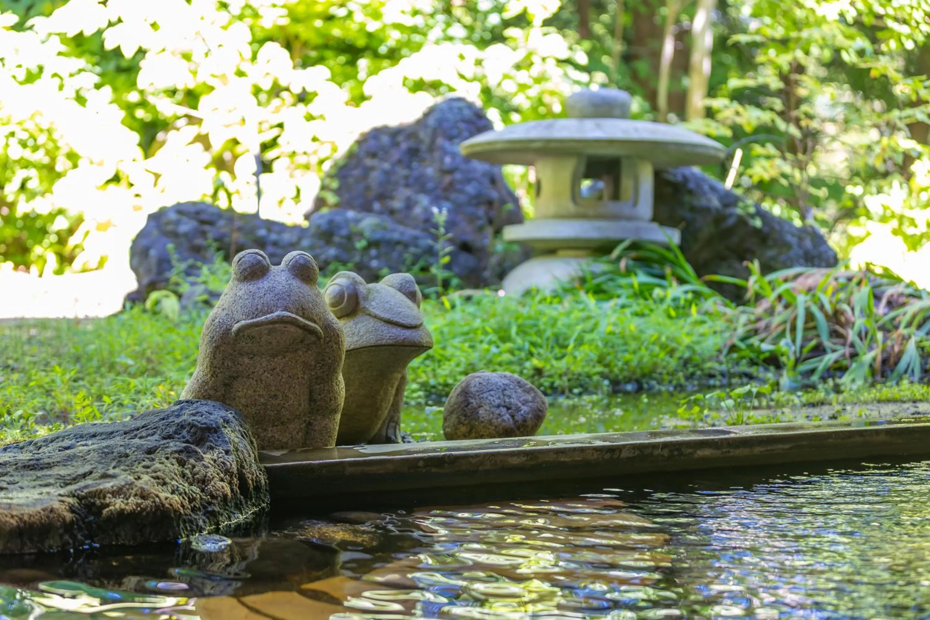 Hot Spring Bath, Other Animals in Plaza Hotel Sanrokuso
