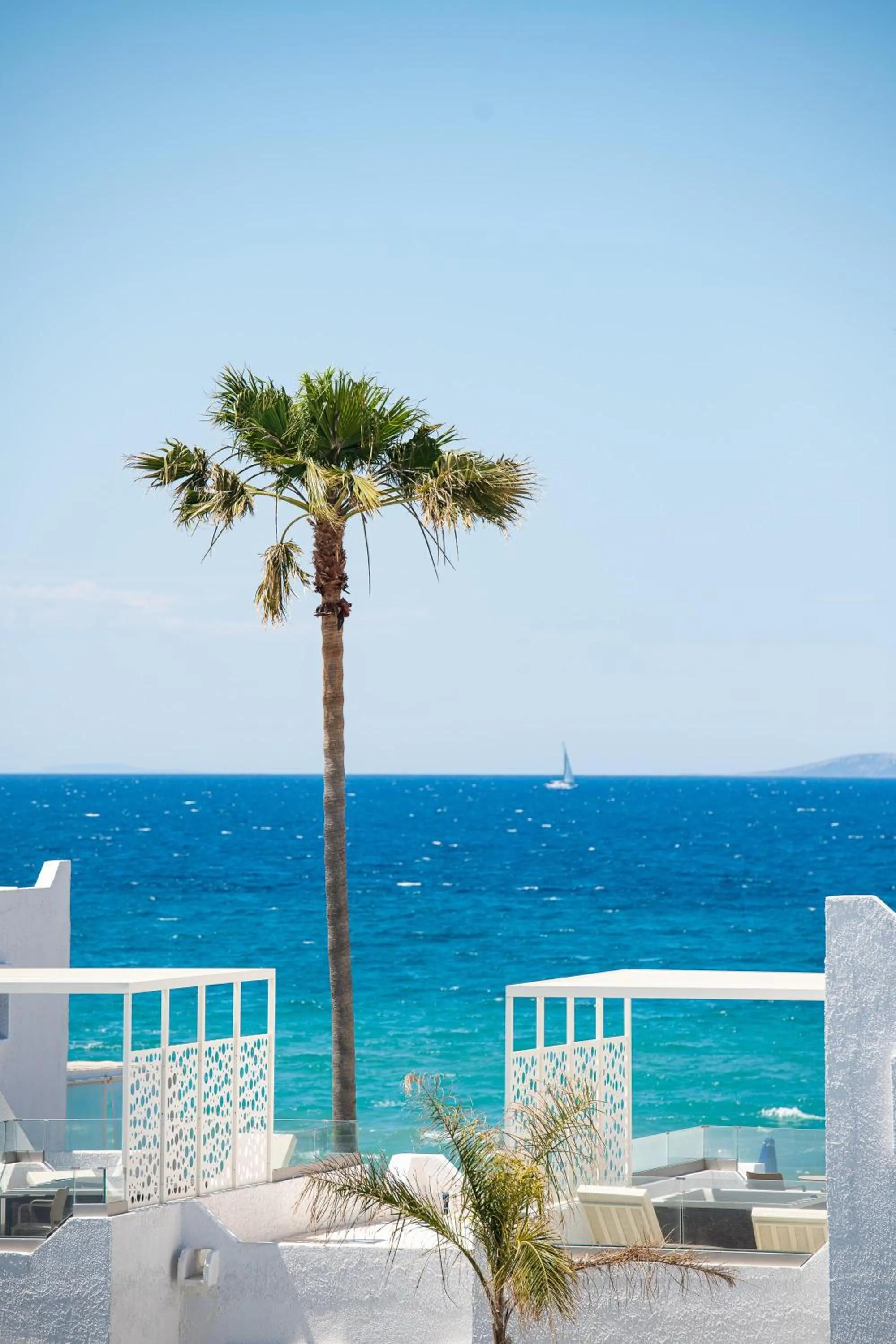 Balcony/Terrace in The Aeolos Beach Hotel