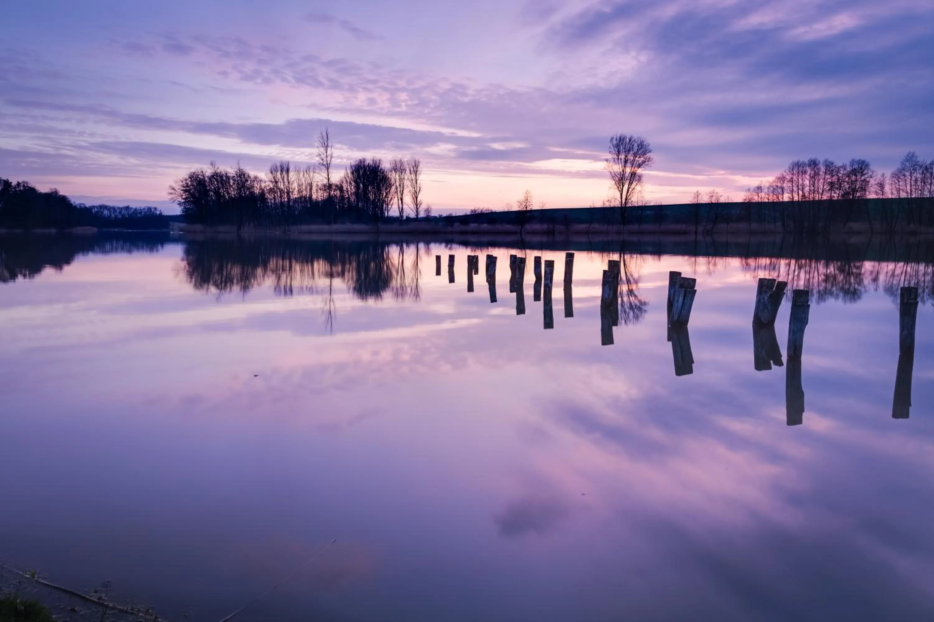 View (from property/room) in Seehotel Luisenhof