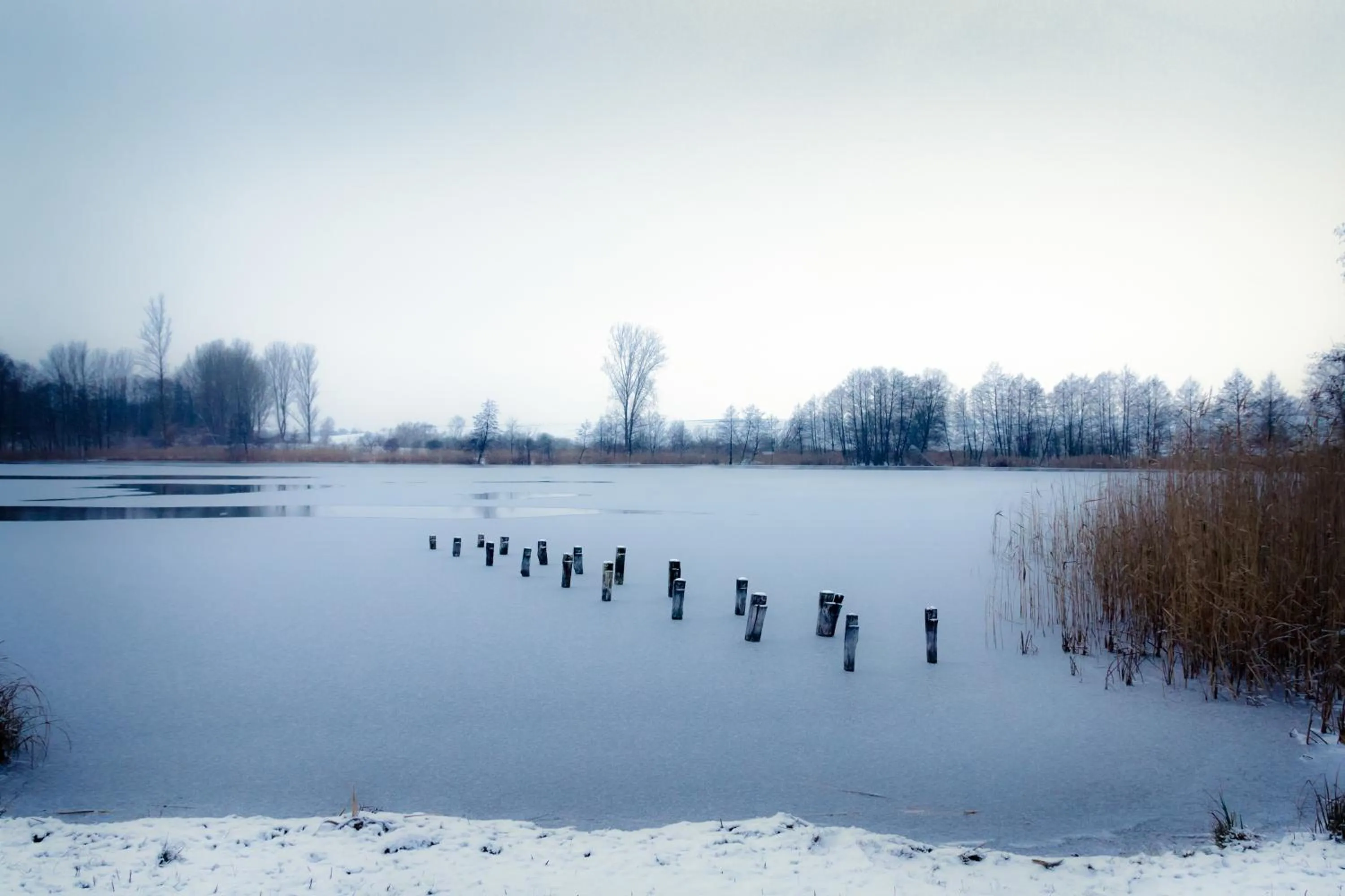 Natural landscape in Seehotel Luisenhof
