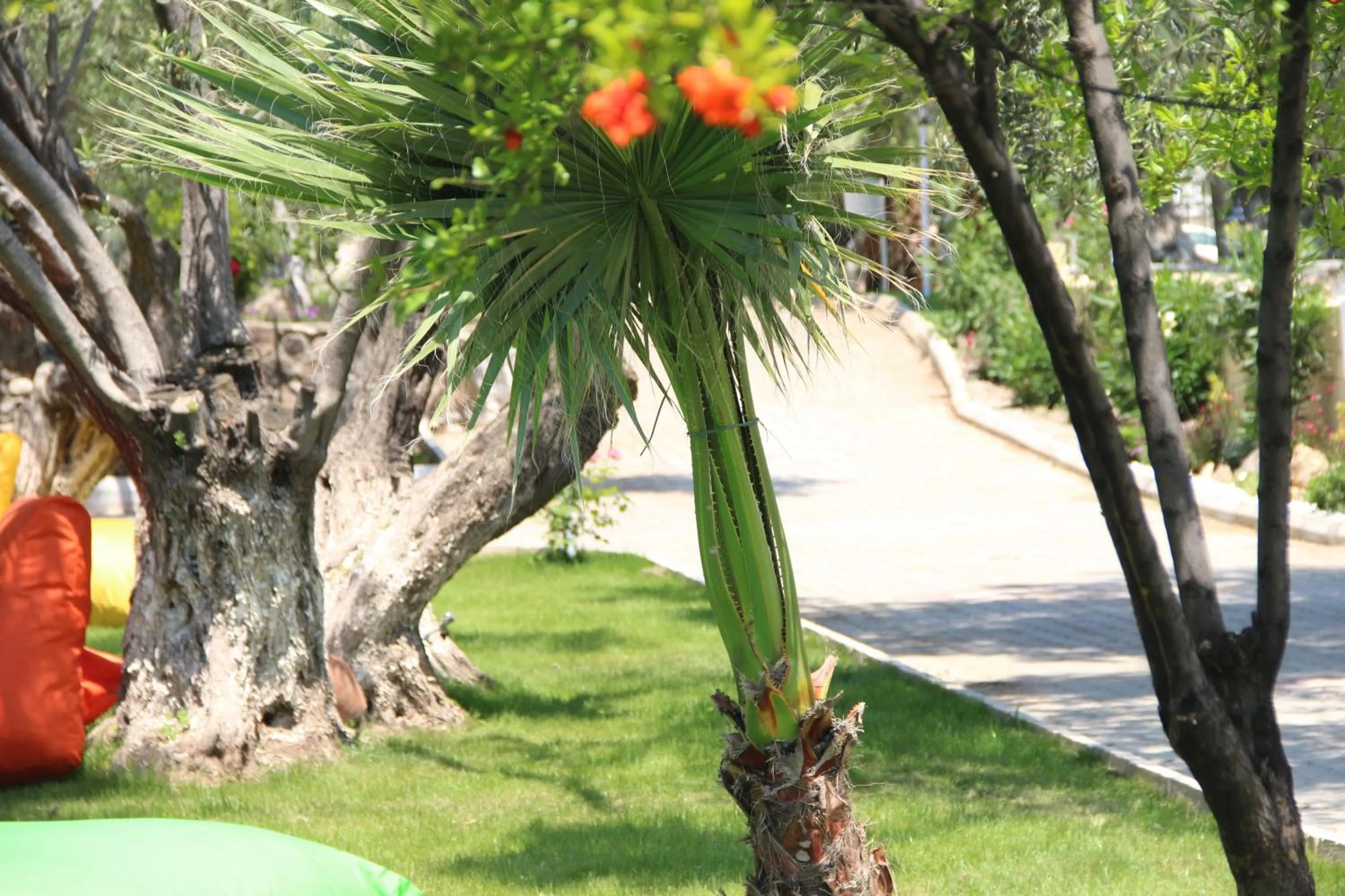 Property building in Kayalar Blue Beach Hotel