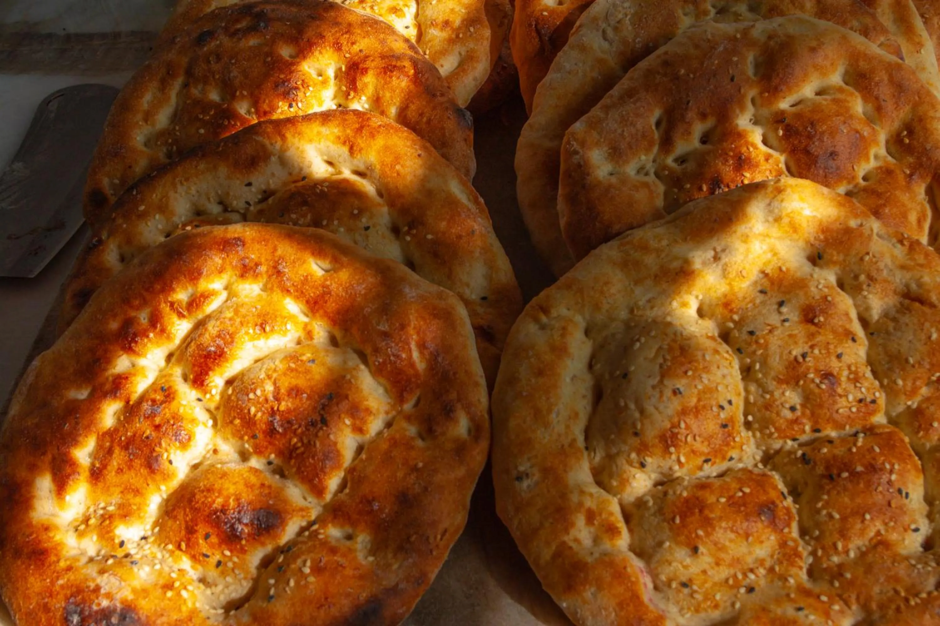 pet friendly in Kayalar Blue Beach Hotel