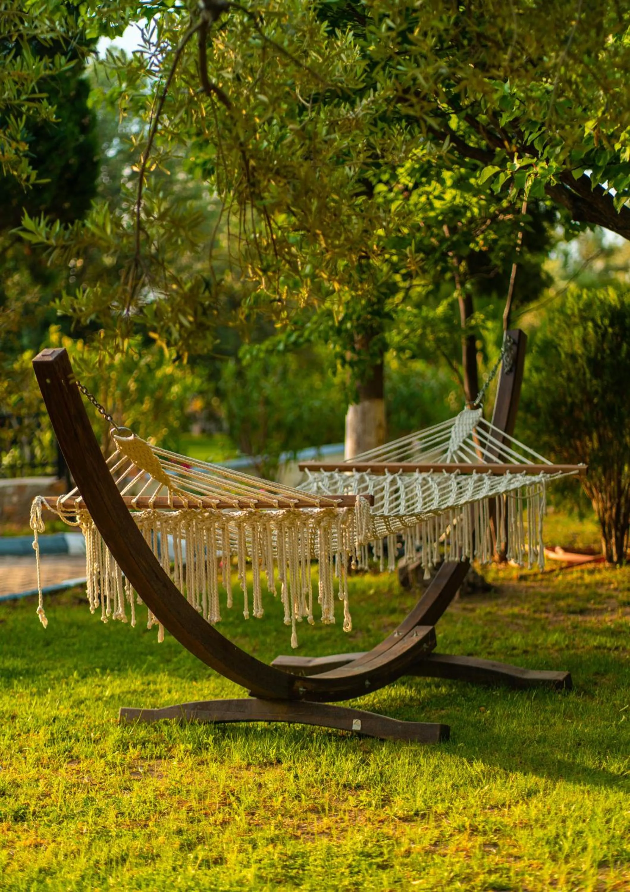 Garden in Kayalar Blue Beach Hotel