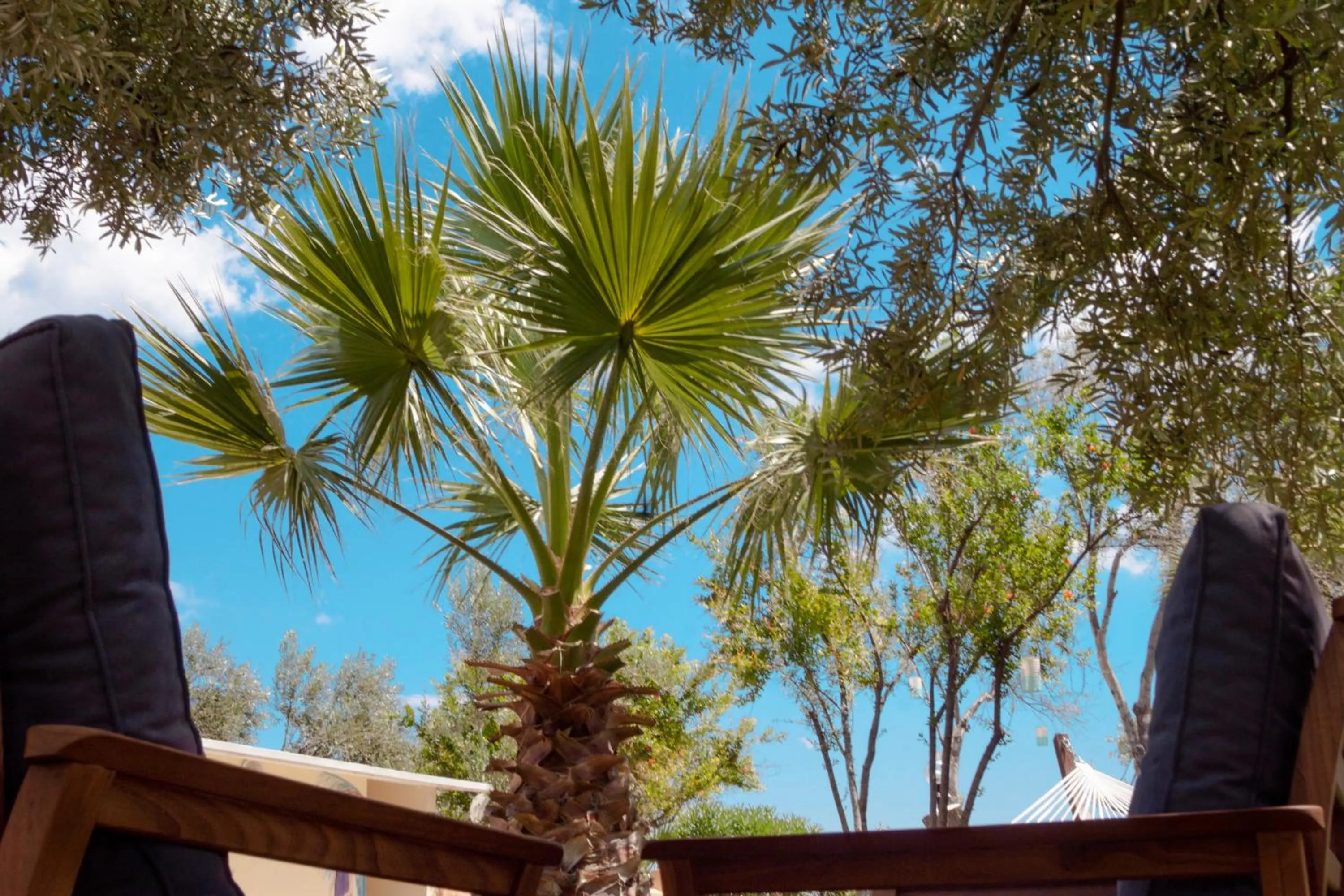 Garden in Kayalar Blue Beach Hotel