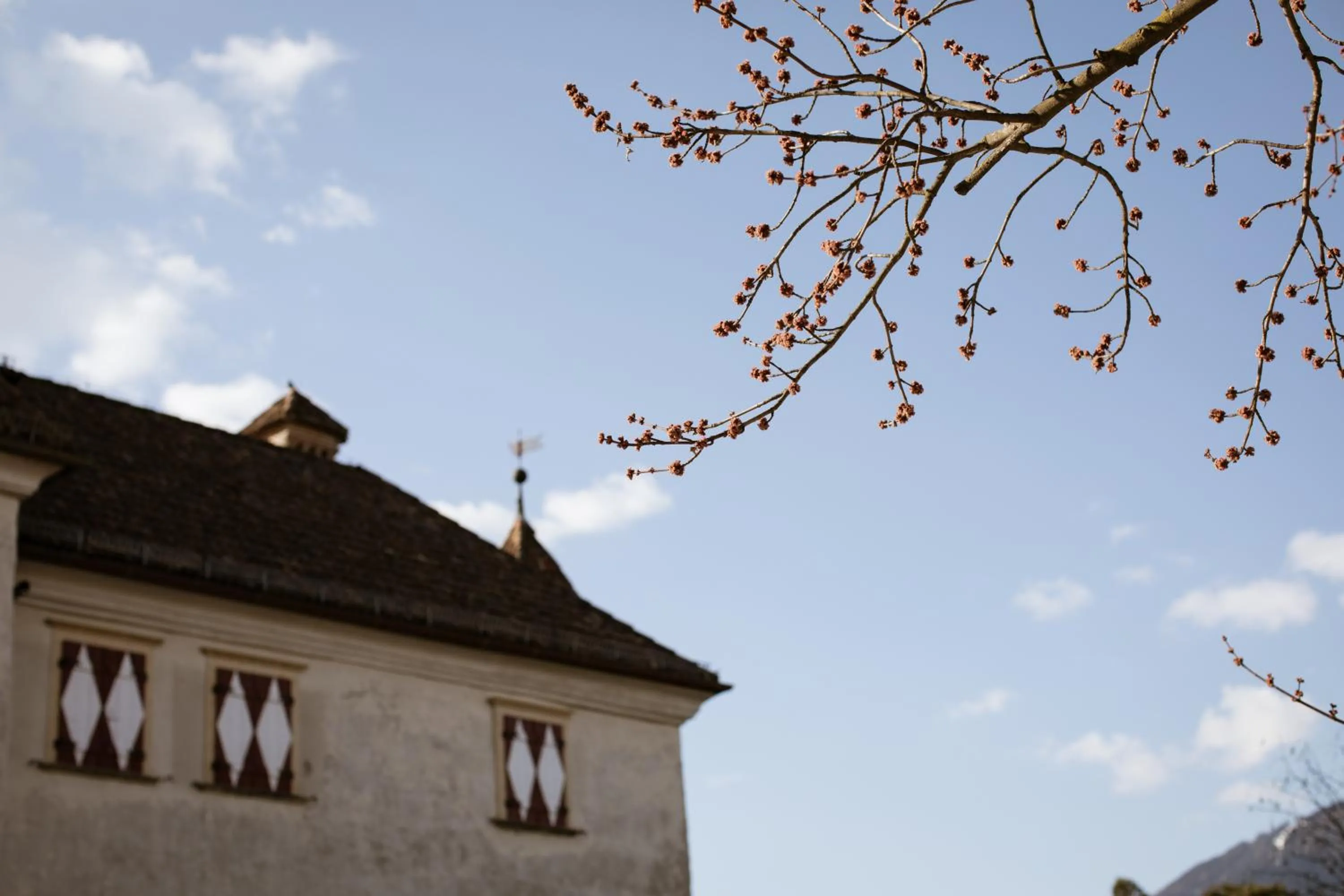 Property building in Hotel Castel Rundegg (Adults Only)