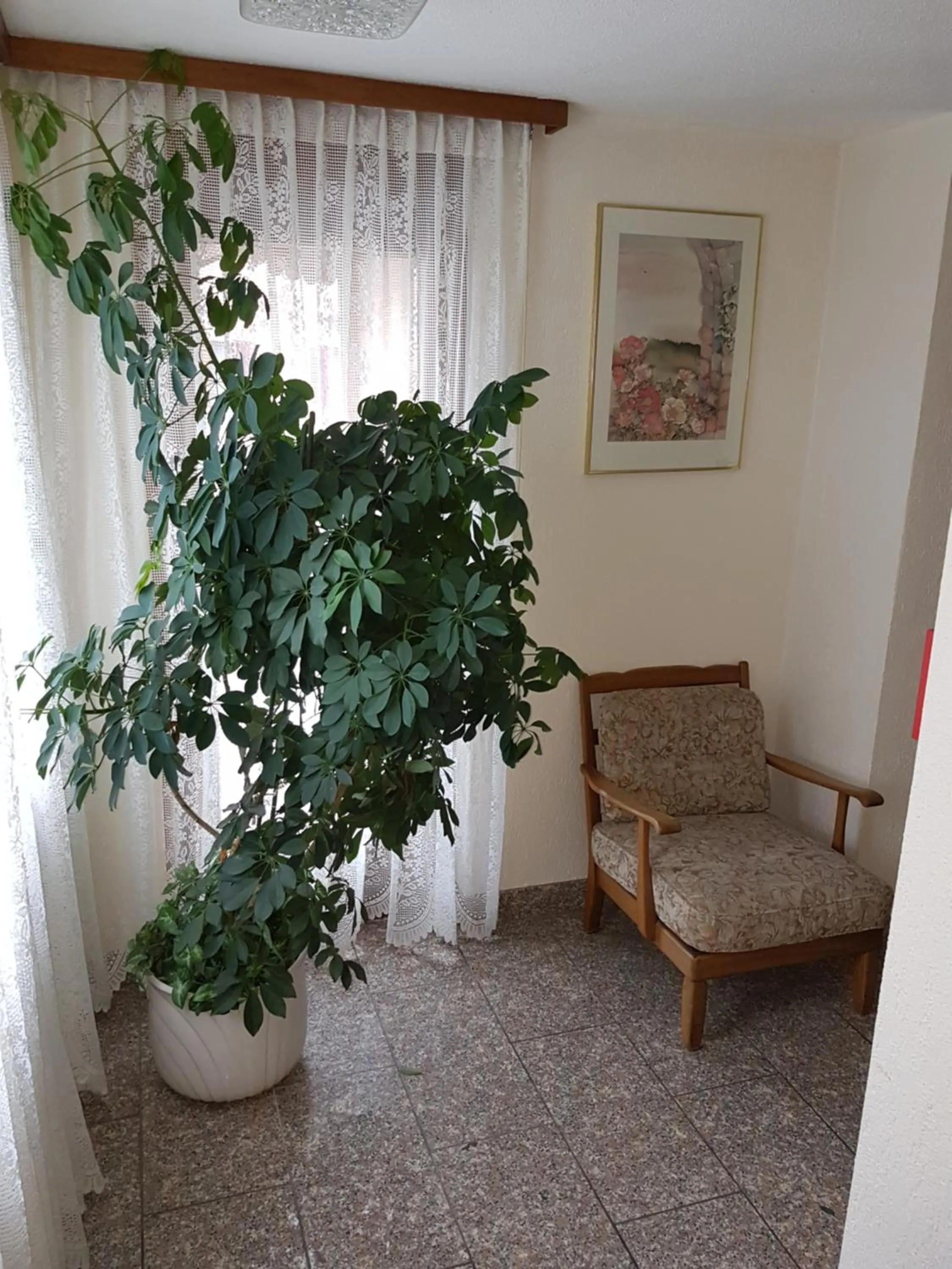 Area and facilities in Hotel Central