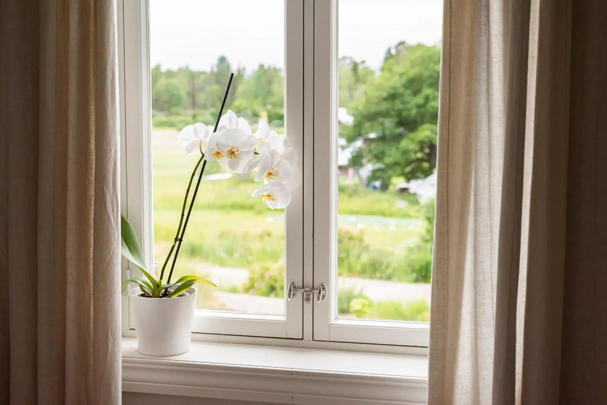 Deluxe Twin Room - single occupancy in Hotel Nestor & Restaurant Back Pocket Deluxe Twin Room - single occupancy in Hotel Nestor & Restaurant Back Pocket