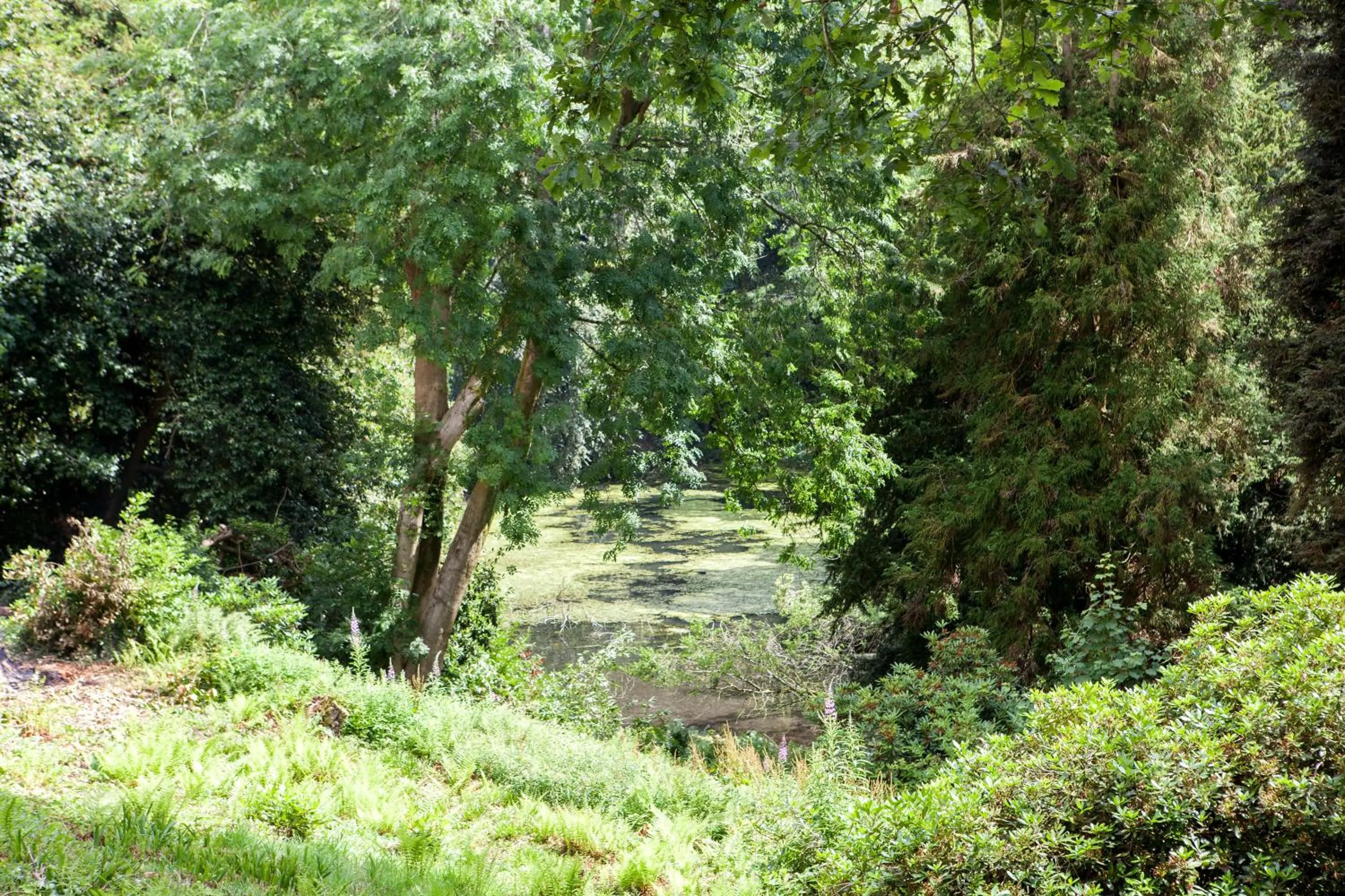 Garden in Langrish House