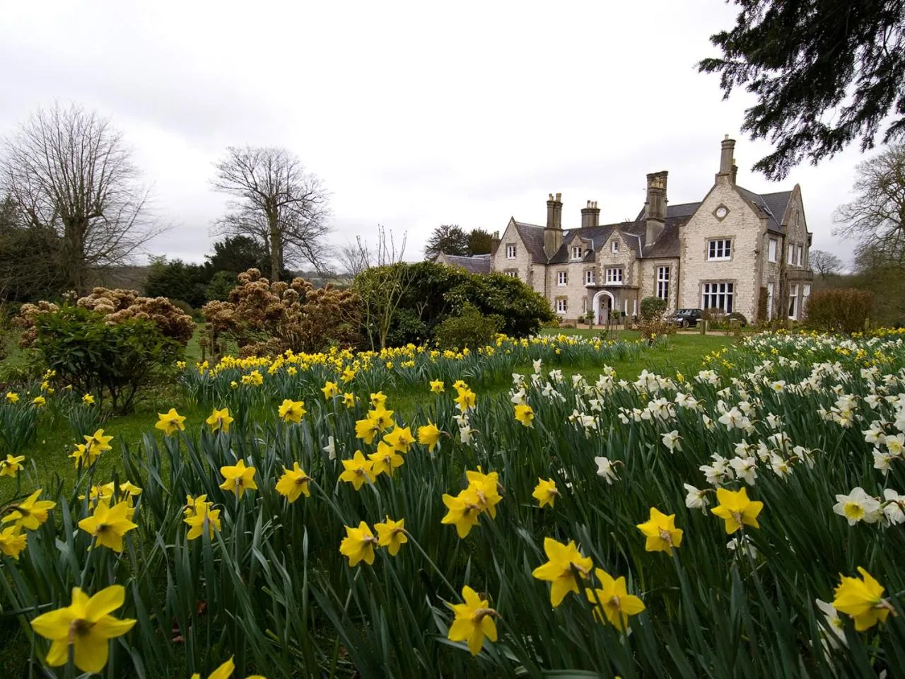 Garden in Langrish House