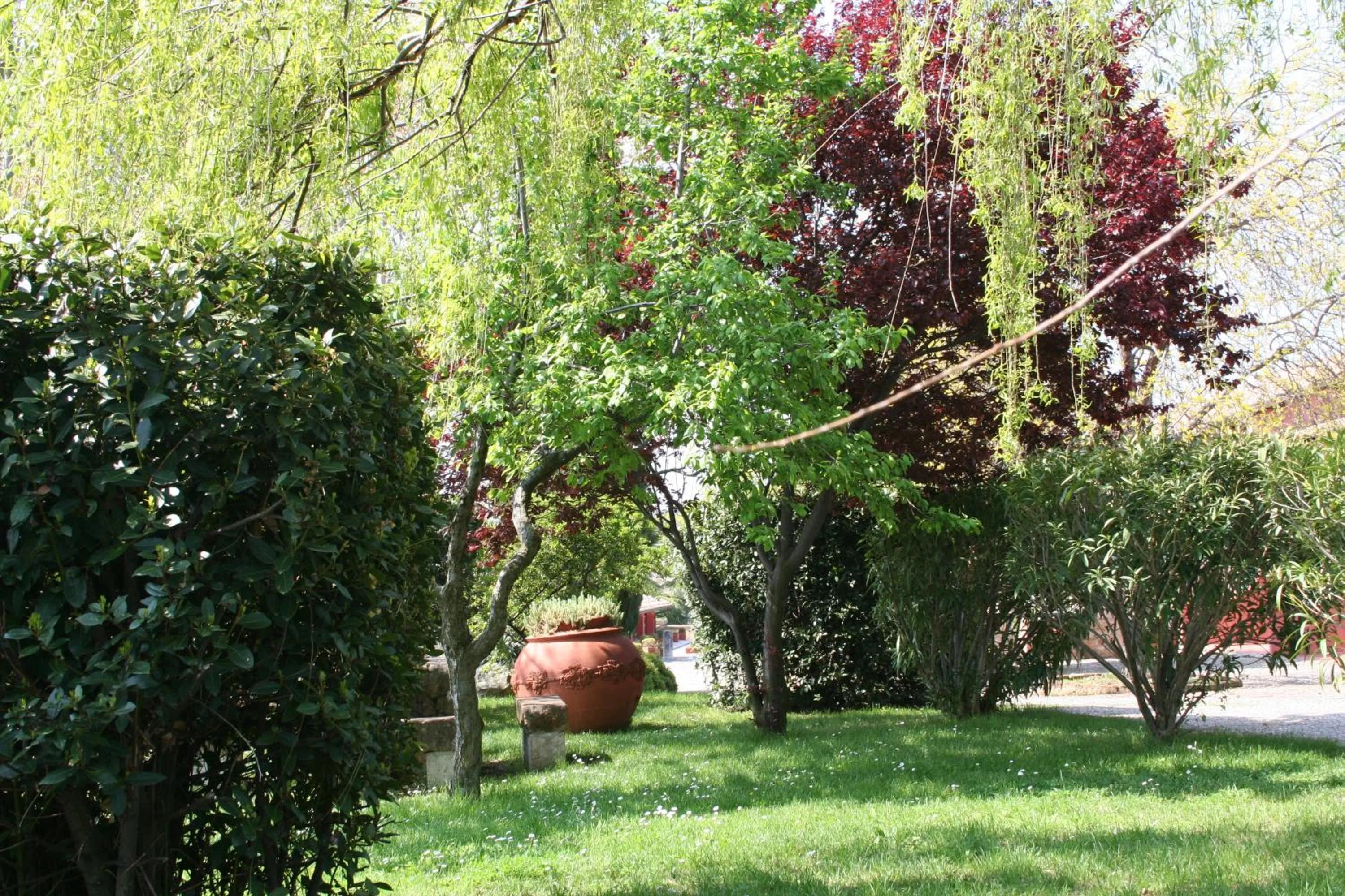 Garden in Casanova - Wellness Center La Grotta Etrusca
