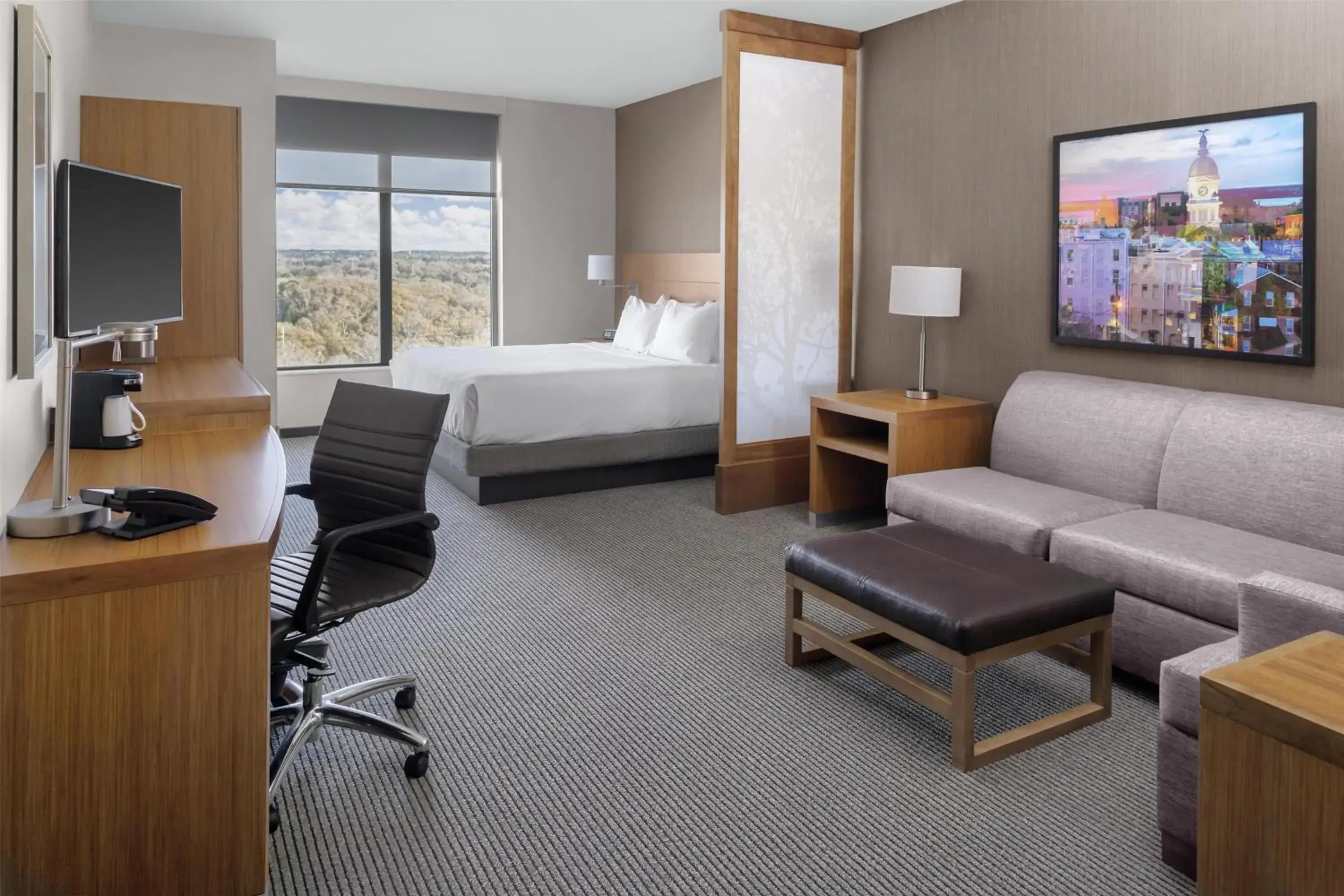 One-Bedroom King Suite with Sofa Bed in Hyatt Place Athens Downtown One-Bedroom King Suite with Sofa Bed in Hyatt Place Athens Downtown