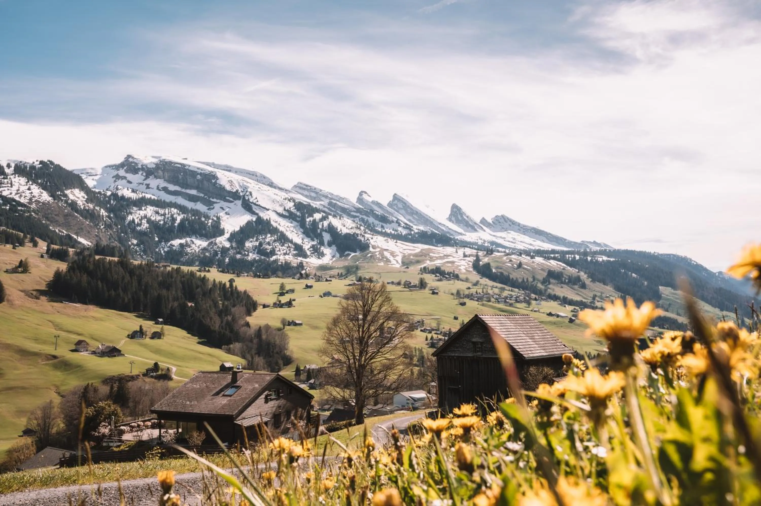 Mountain view in Hotel Hirschen Wildhaus