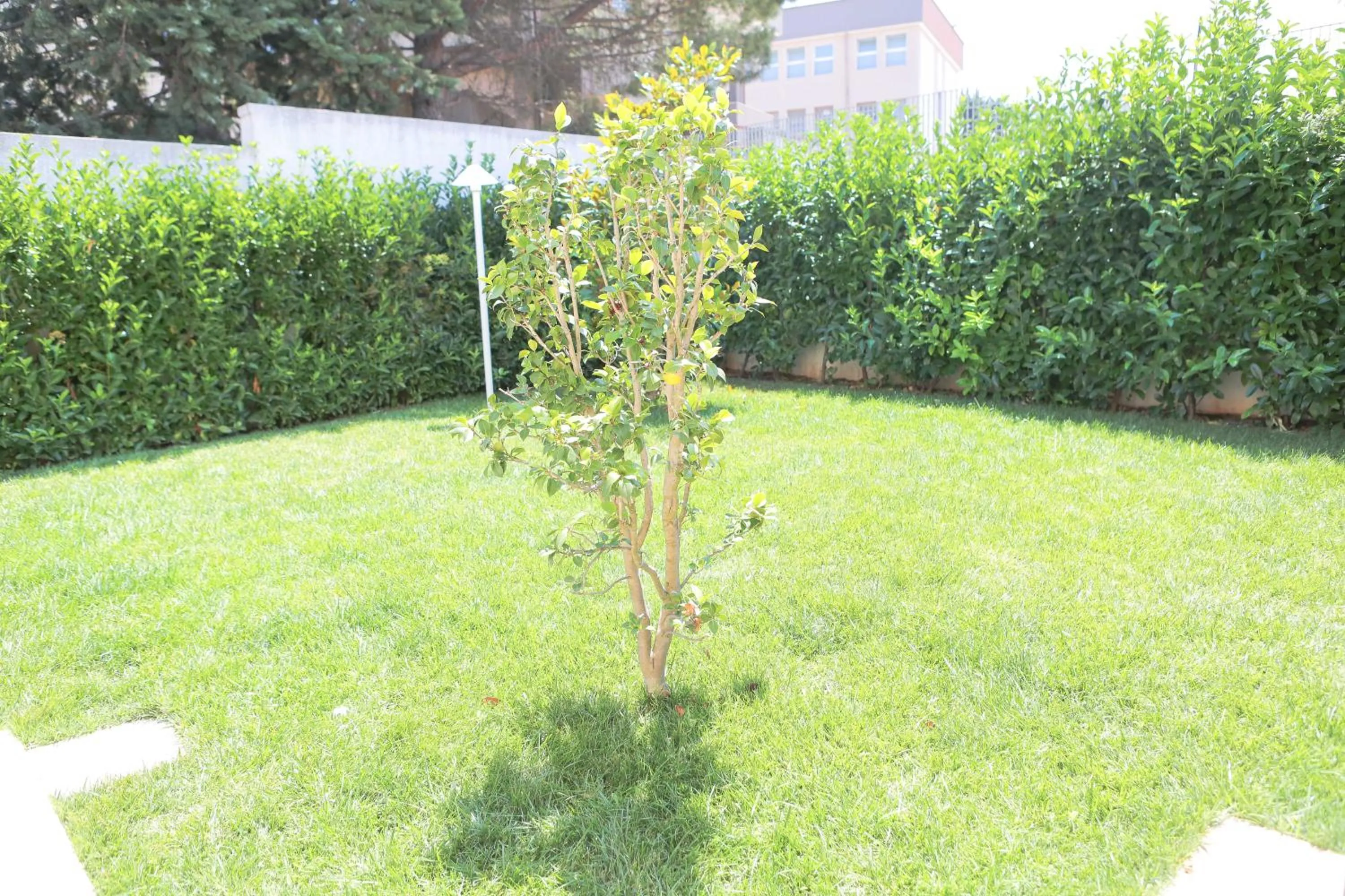 Property building in Casa Riccardo Urban B&Bio