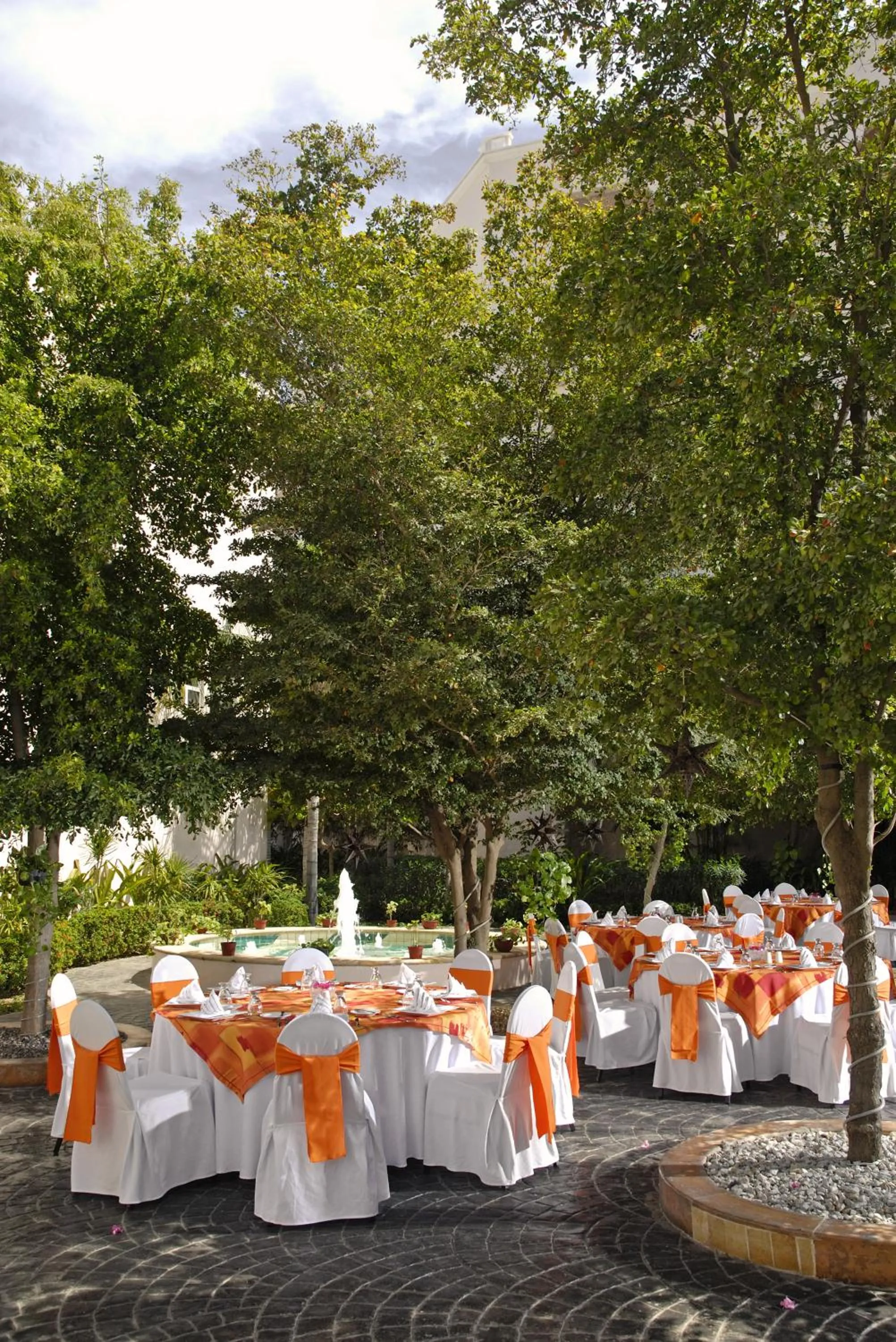 Area and facilities in Pueblo Bonito Rose Resort & Spa - All Inclusive