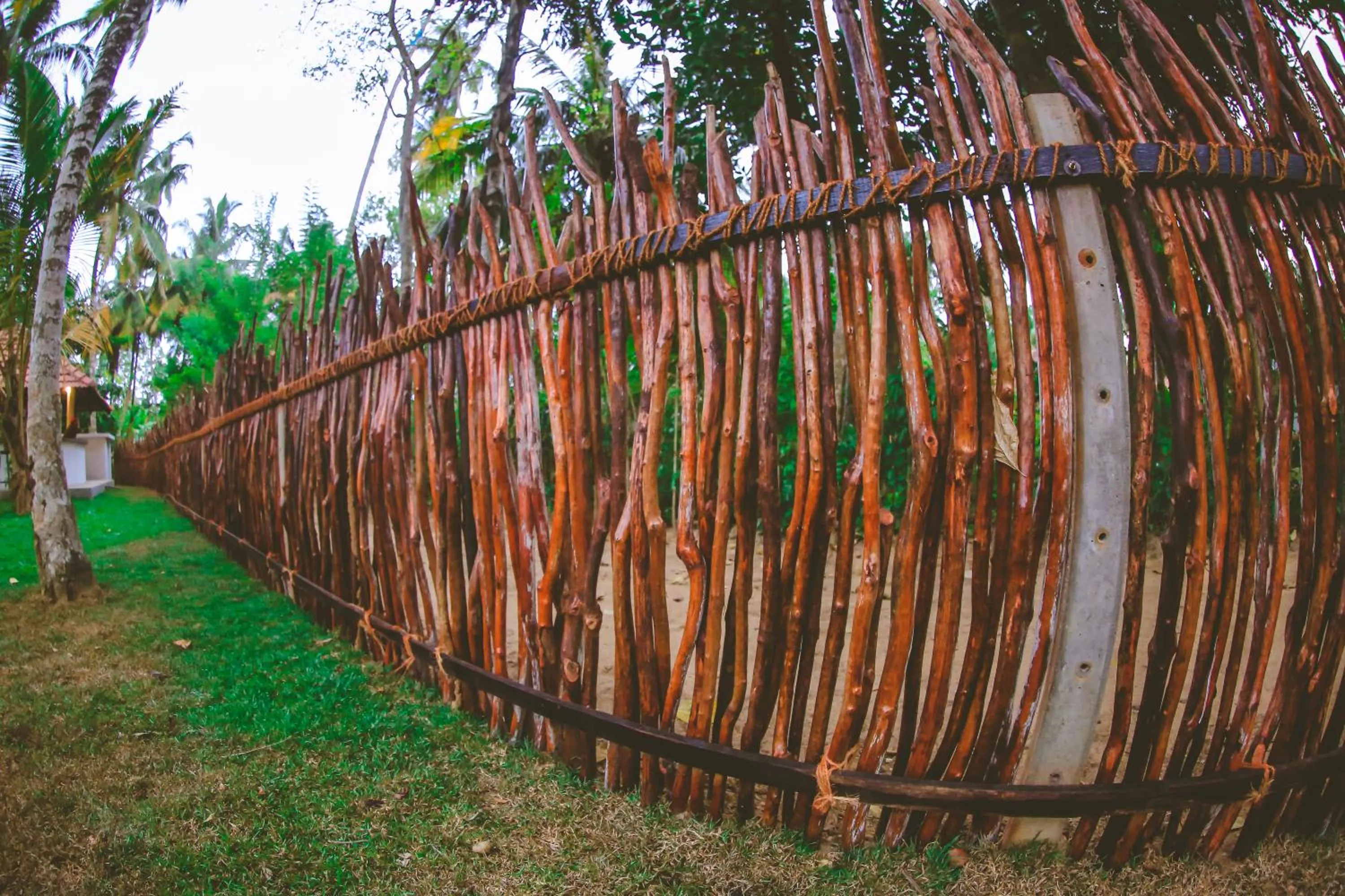 Garden in Villa Hiriketiya