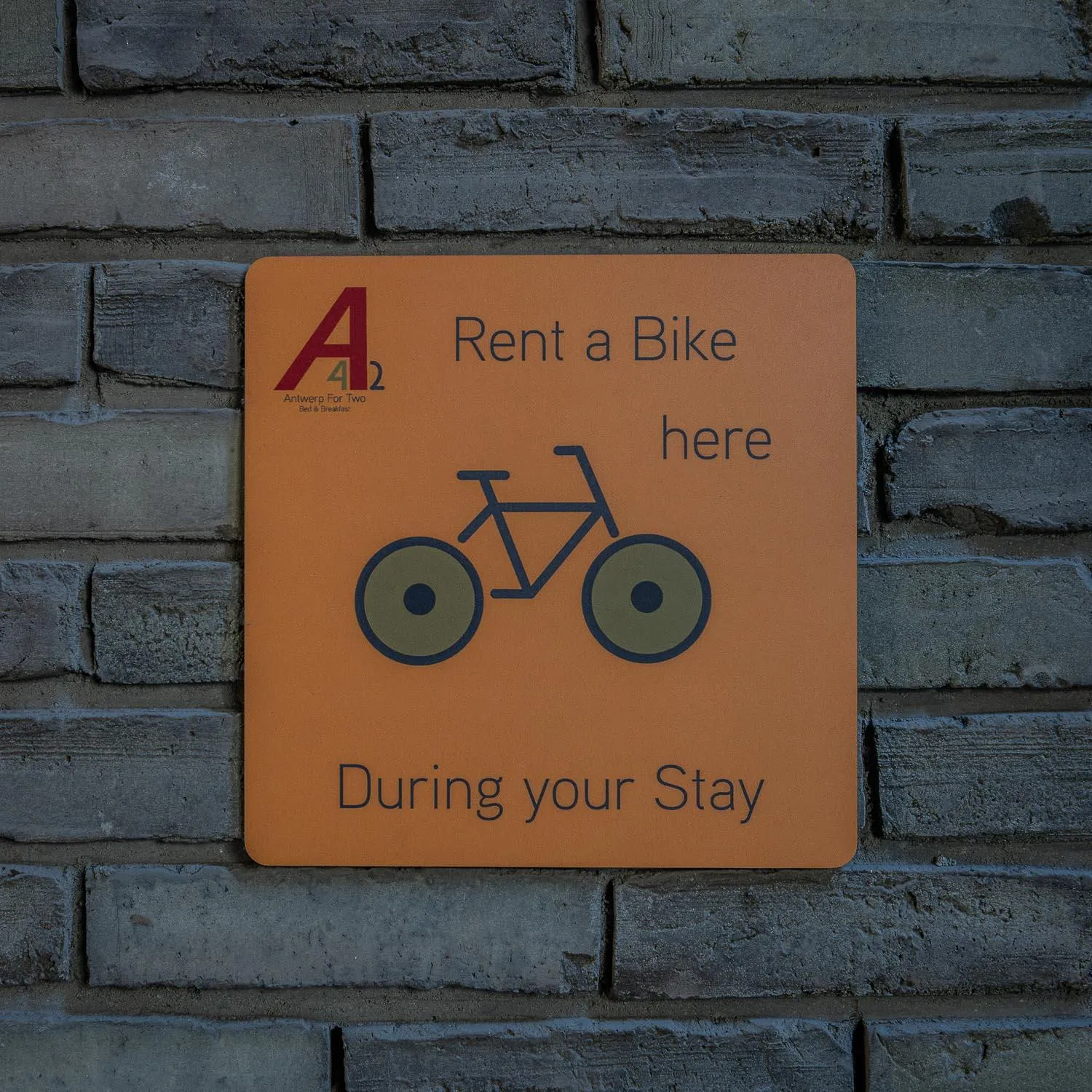 Cycling in Antwerp For Two B&B