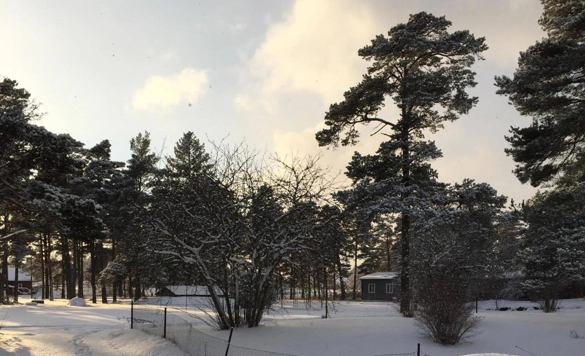 Garden view in STF Hostel Lärbro/Grannen