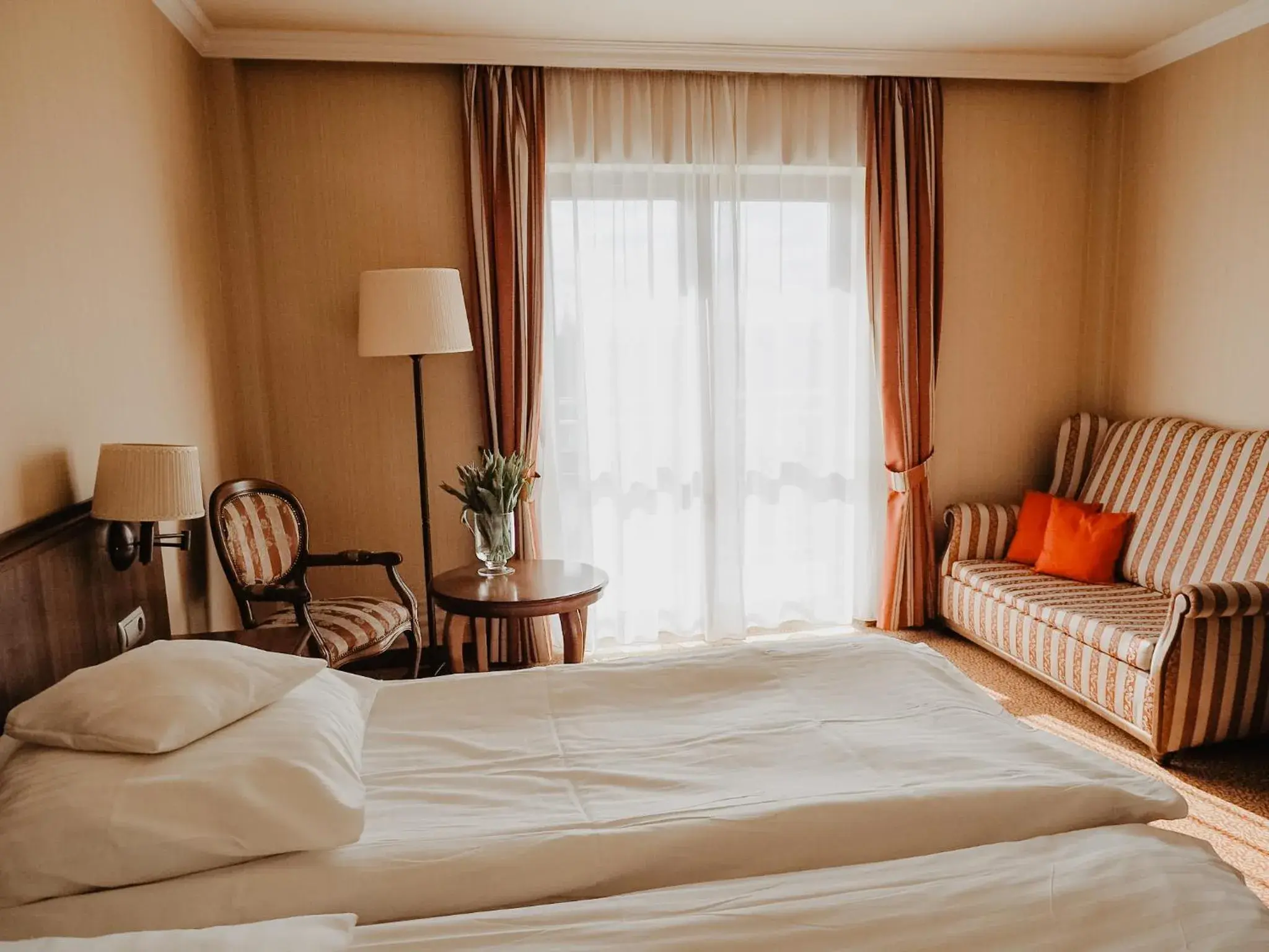 Standard Twin Room with Balcony in Hotel Delfin Spa&Wellness Standard Twin Room with Balcony in Hotel Delfin Spa&Wellness