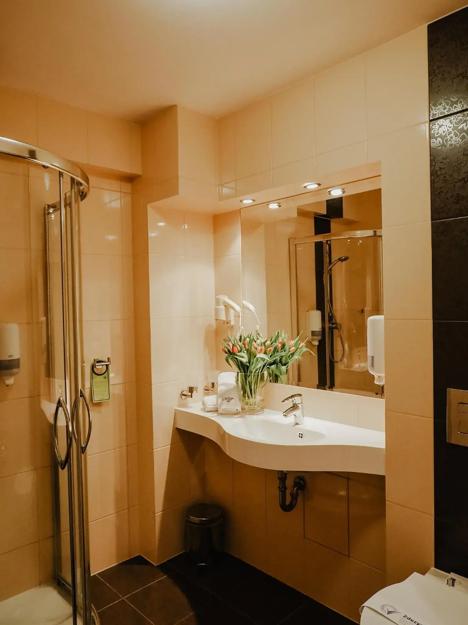 Apartment (2 Adults) in Hotel Delfin Spa&Wellness Apartment (2 Adults) in Hotel Delfin Spa&Wellness