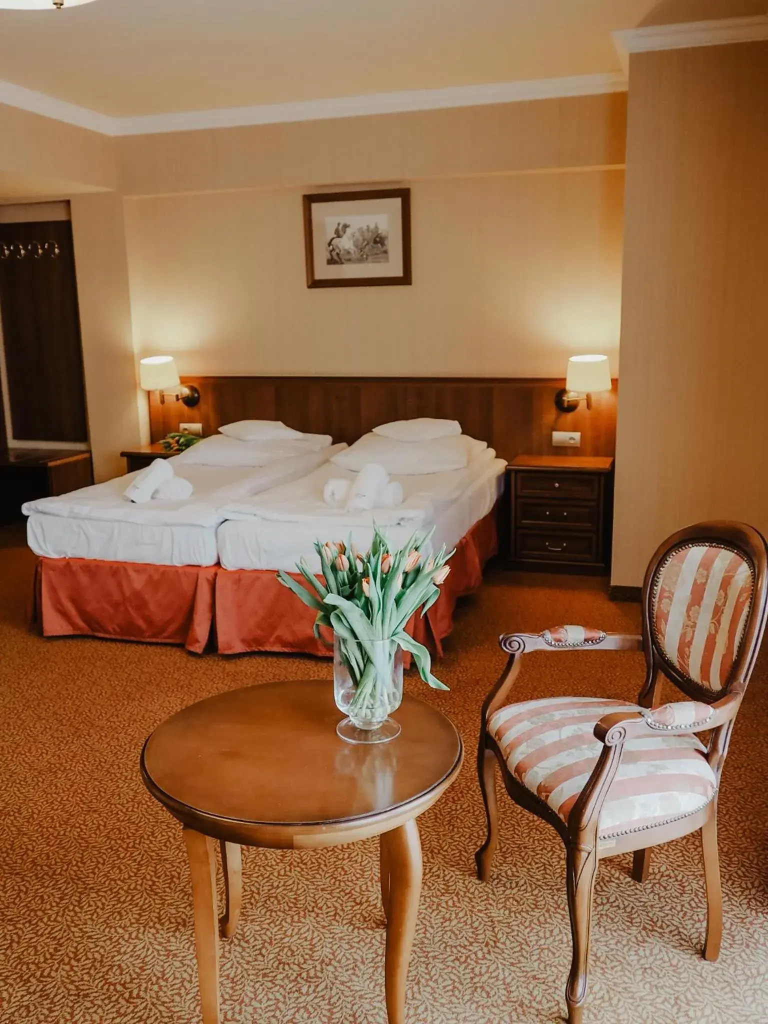 Deluxe Twin Room in Hotel Delfin Spa&Wellness Deluxe Twin Room in Hotel Delfin Spa&Wellness