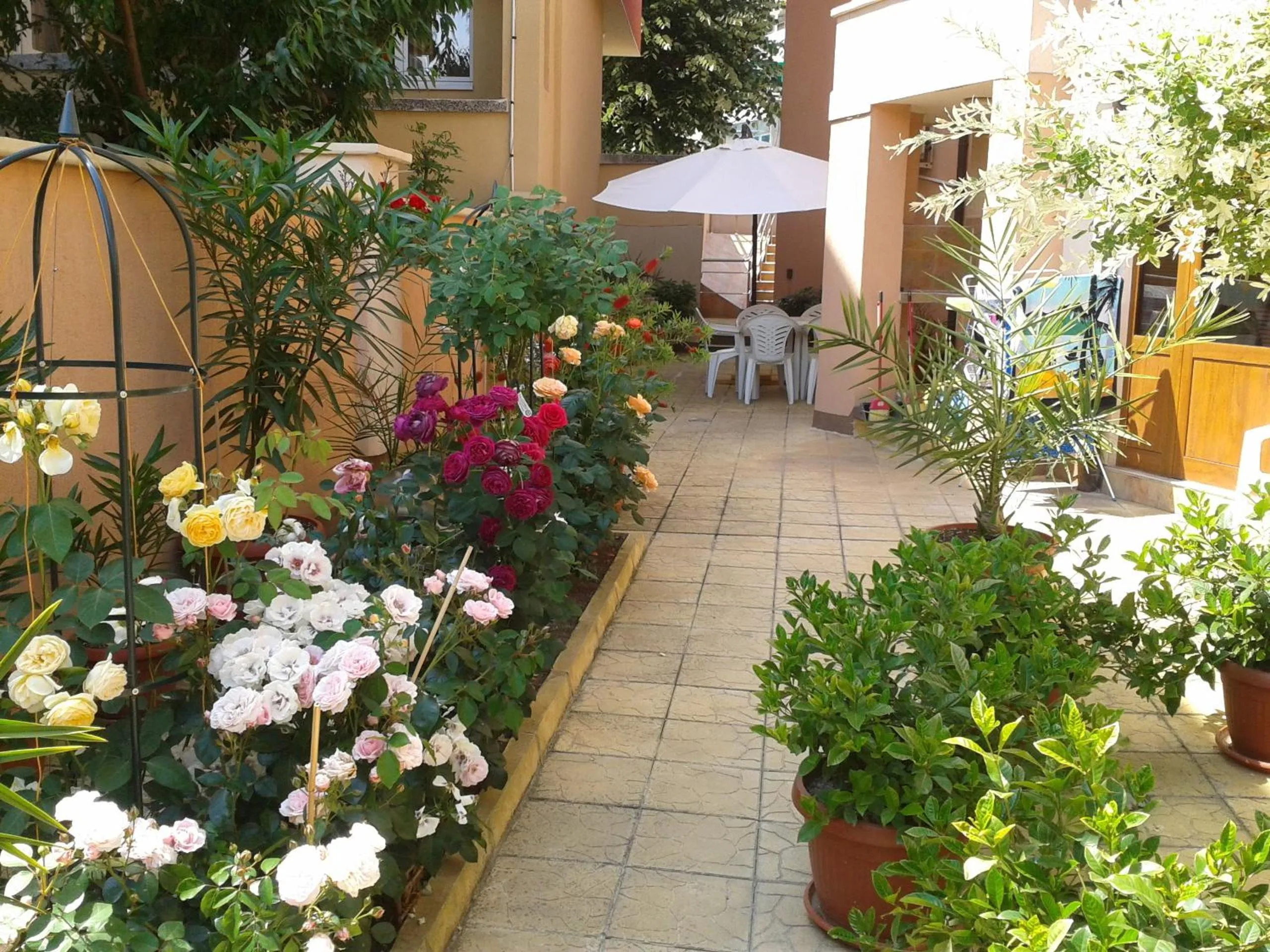 Garden in Hotel Chuchulev