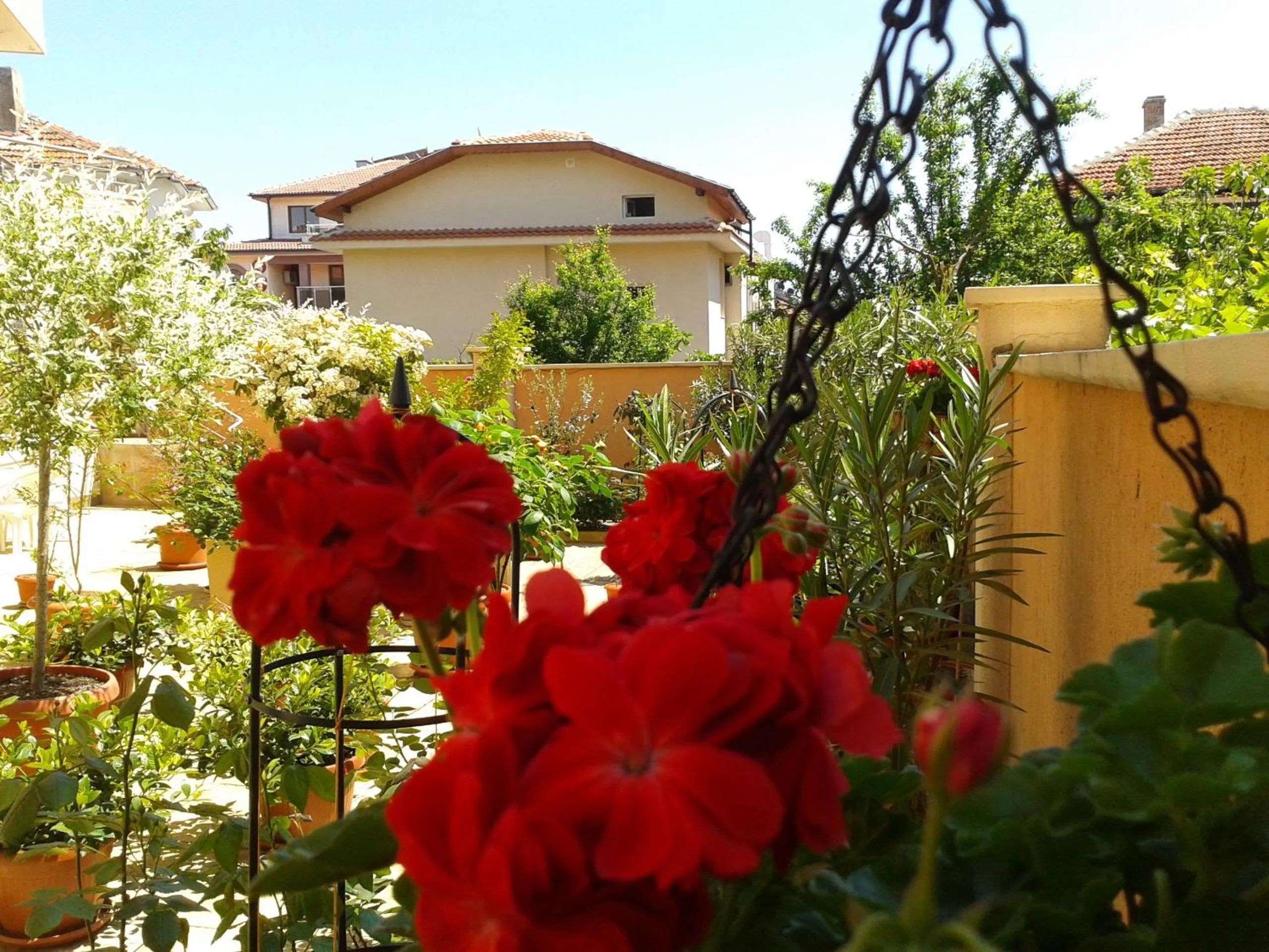 Garden in Hotel Chuchulev