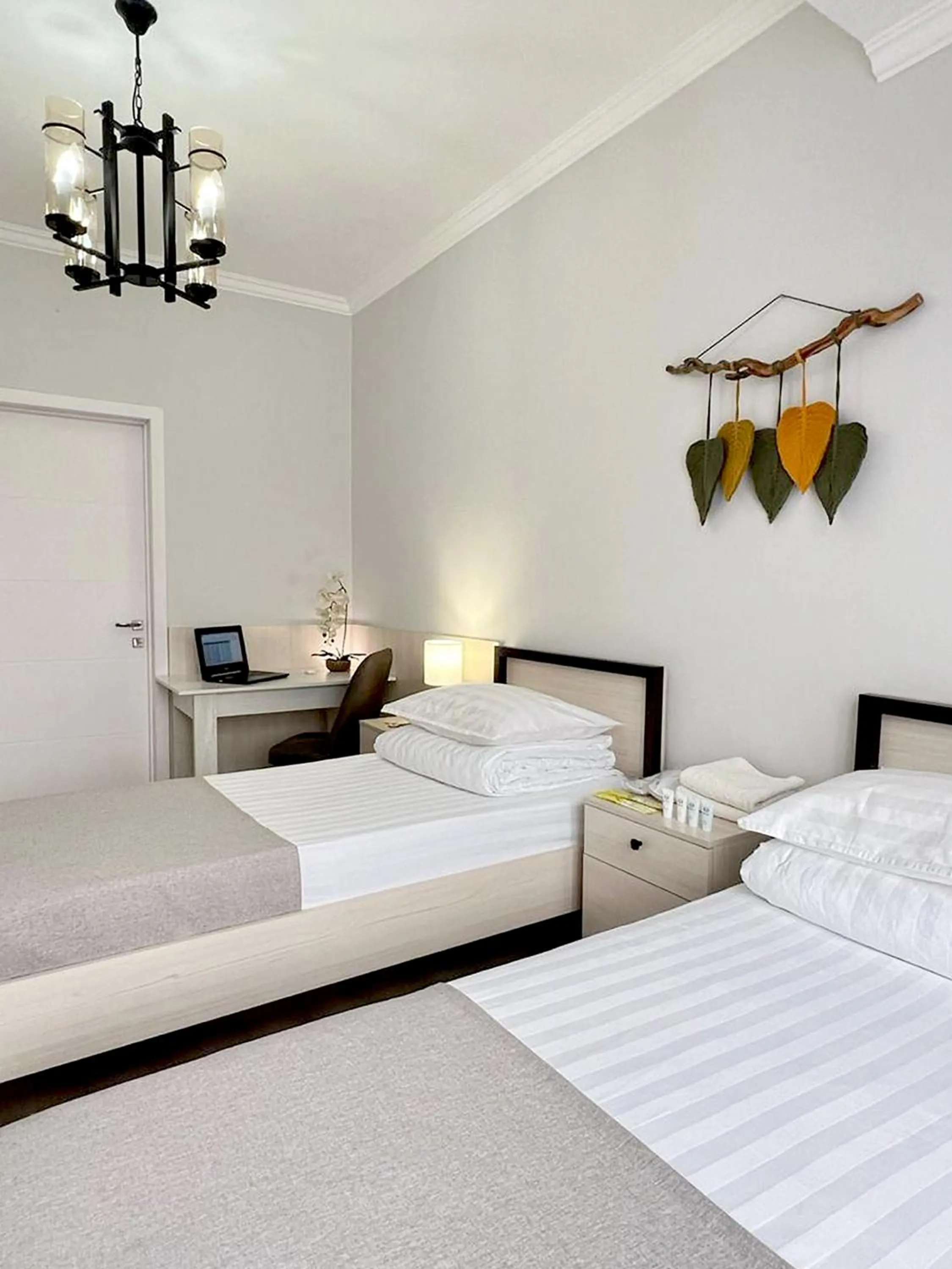 Bed in Compass Hostel