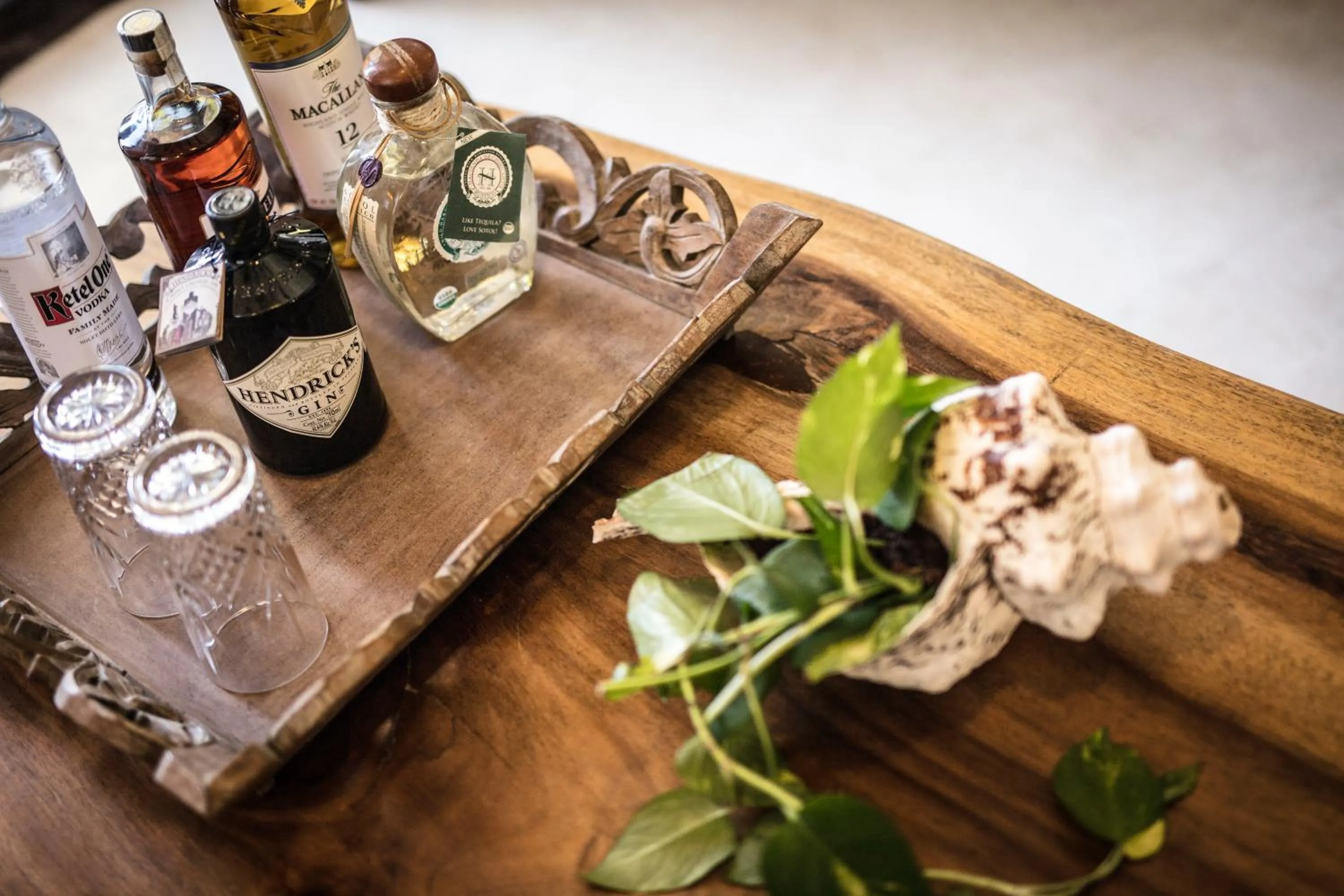 Food and drinks in Hotel Villas Flamingos