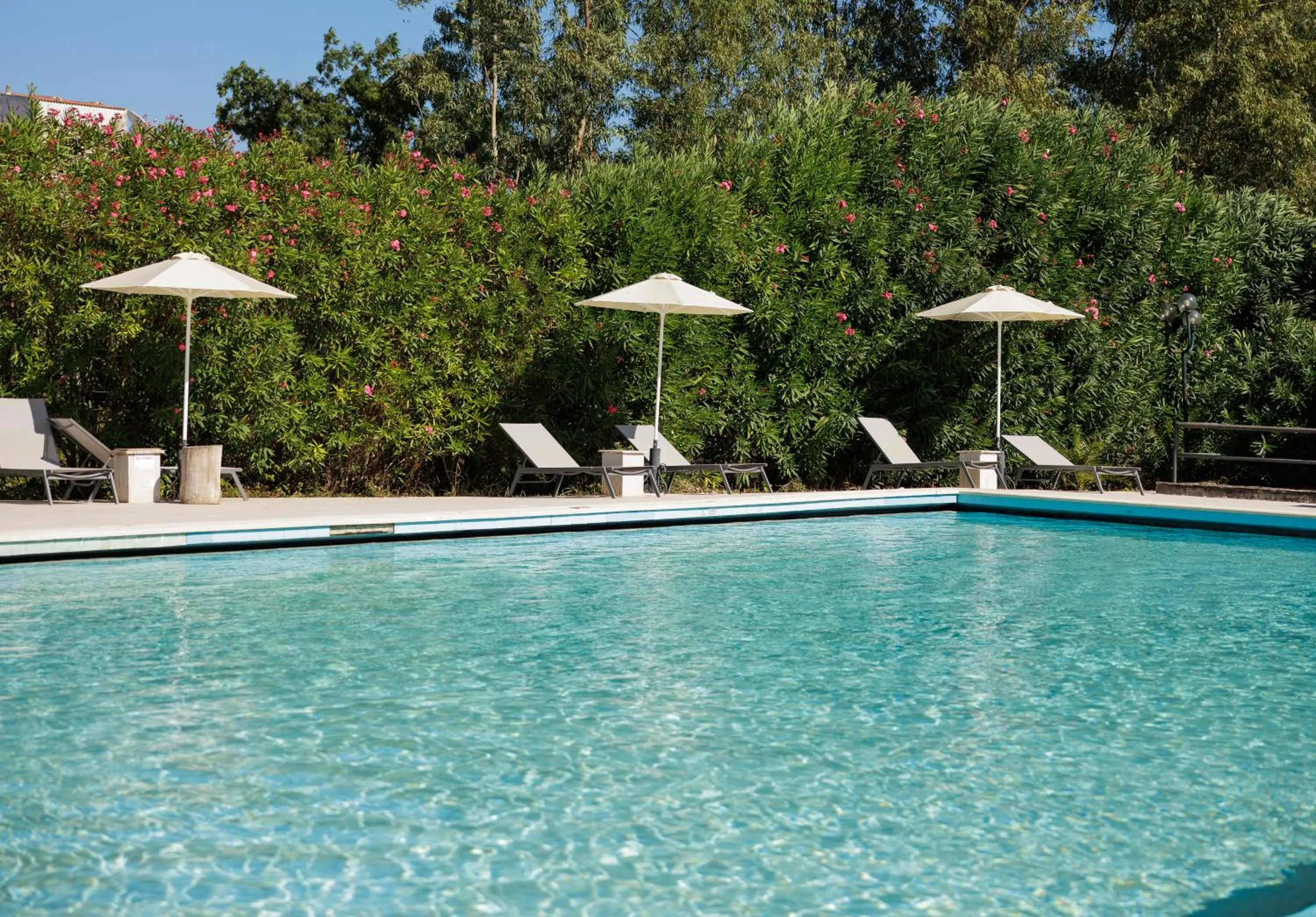 Swimming pool in Livadi Nafsika Hotel - Adults Only