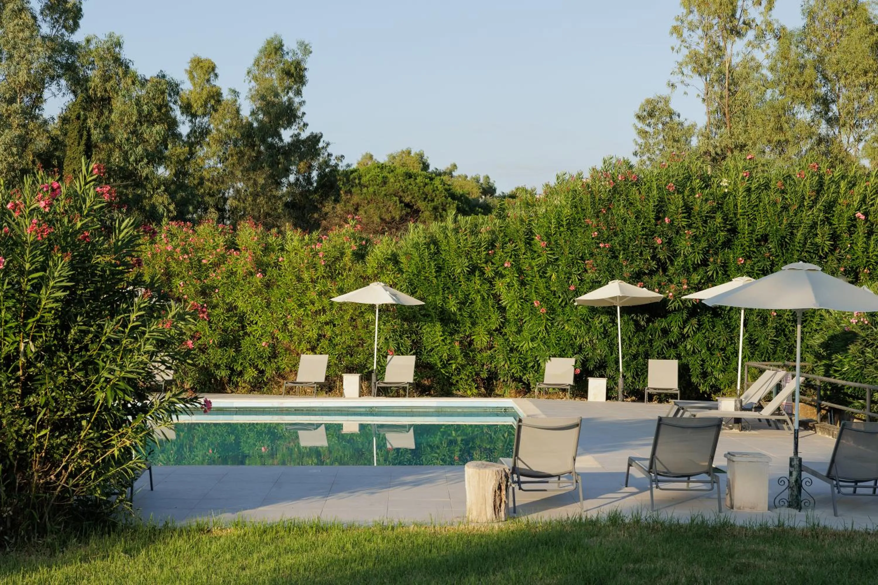 Day in Livadi Nafsika Hotel - Adults Only