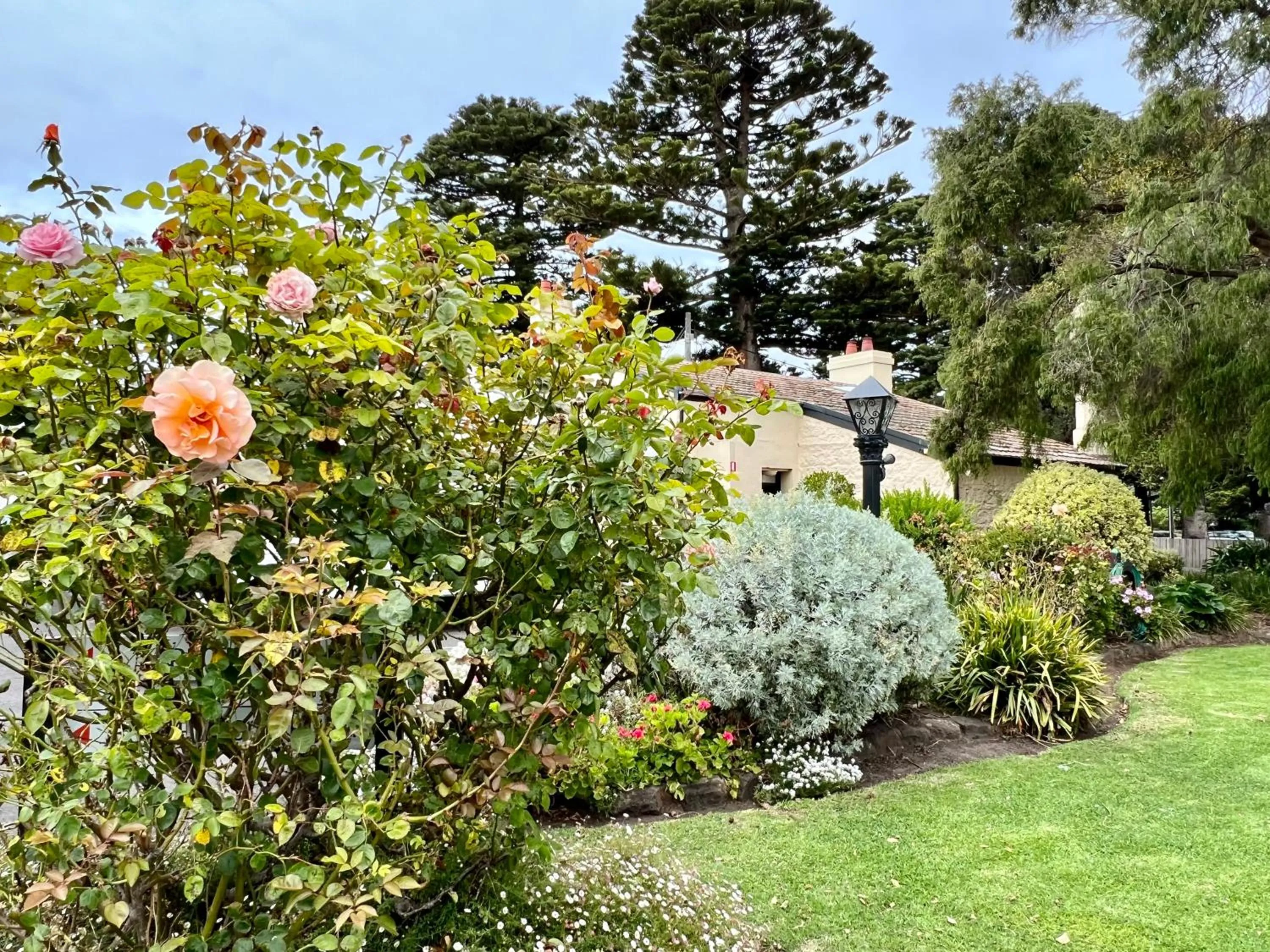 Garden in Seacombe House Motor Inn Port Fairy