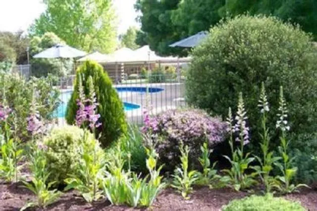 Garden in Mansfield Valley Motor Inn