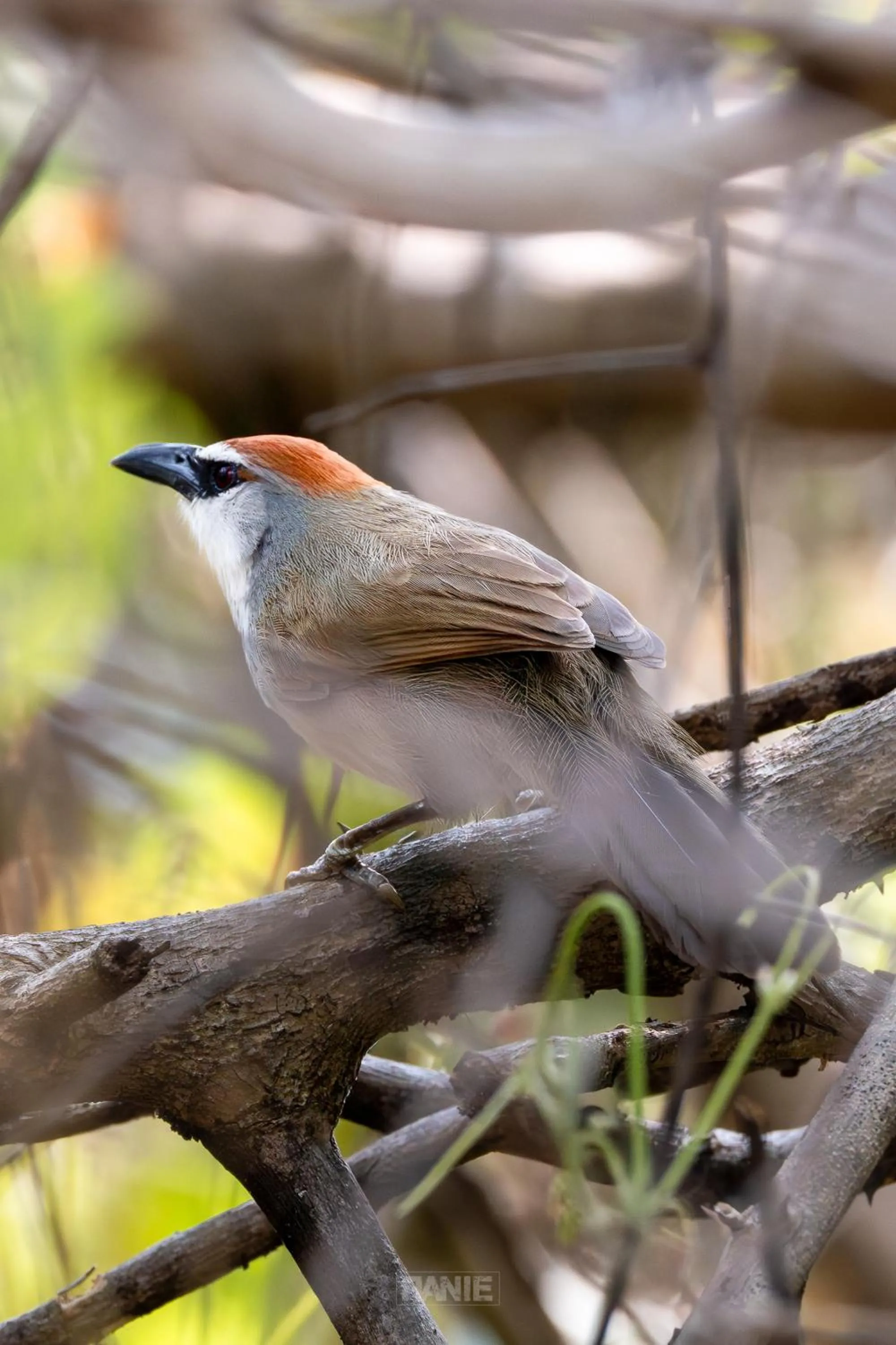 Activities in NusaBay Menjangan