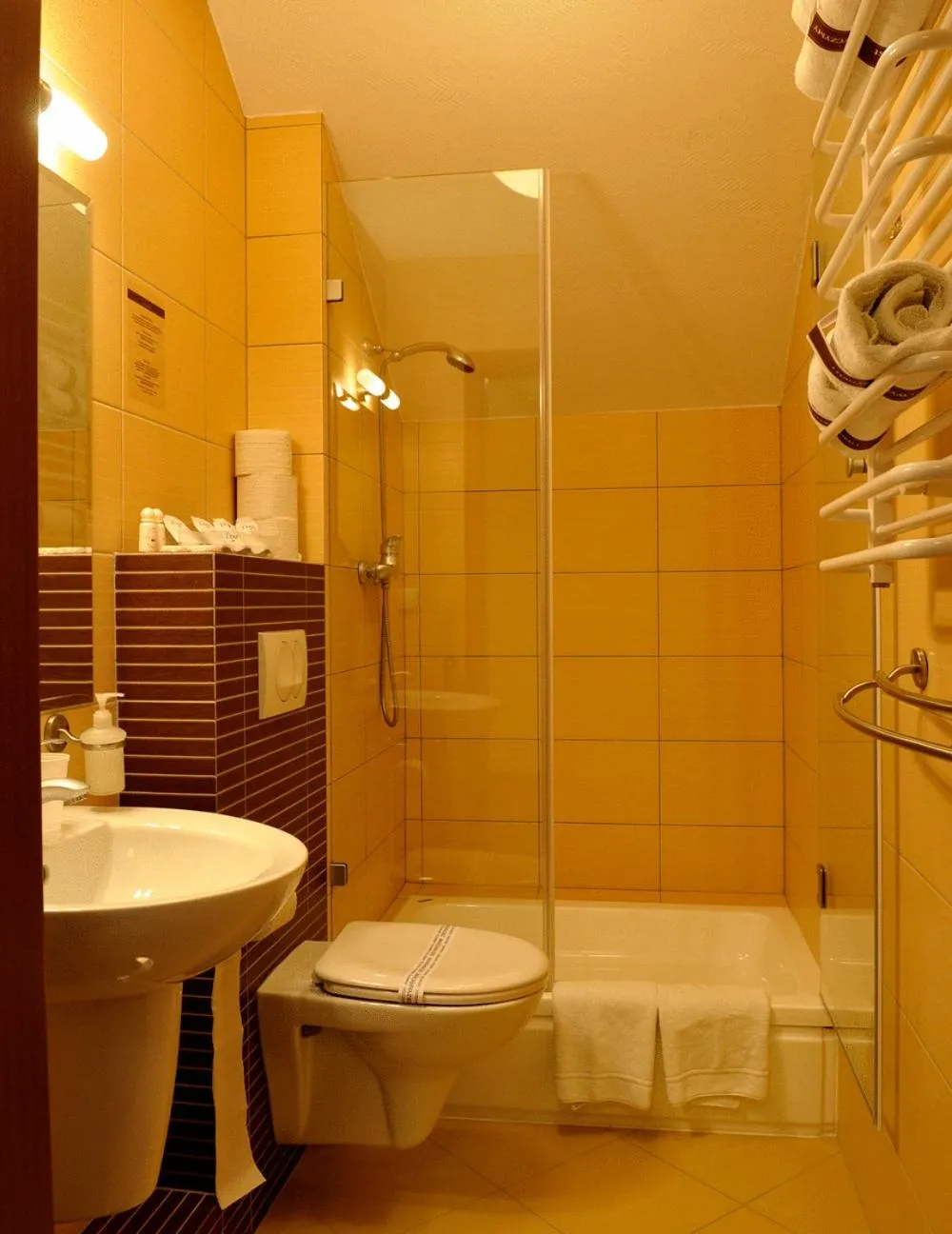 Shower in Pensjonat Pod Jemiołą