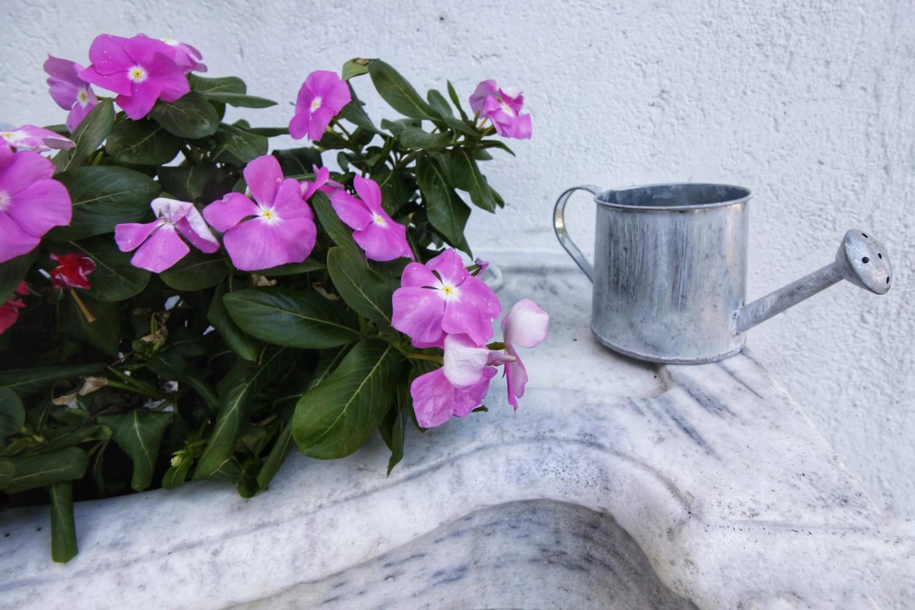 Balcony/Terrace in Hotel Bersagliere