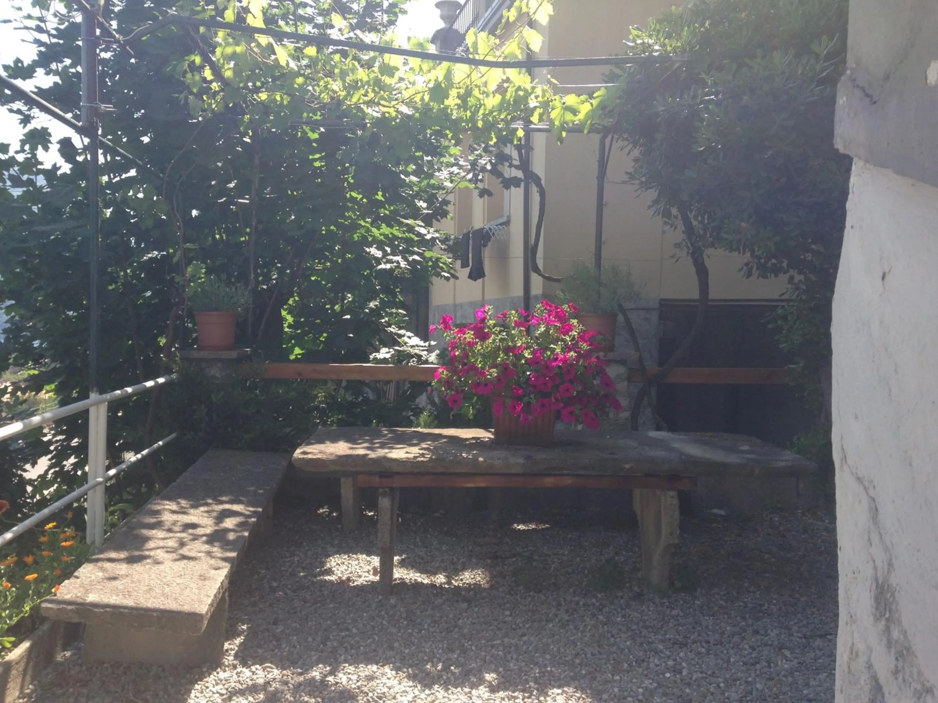 Garden in Hotel Bersagliere