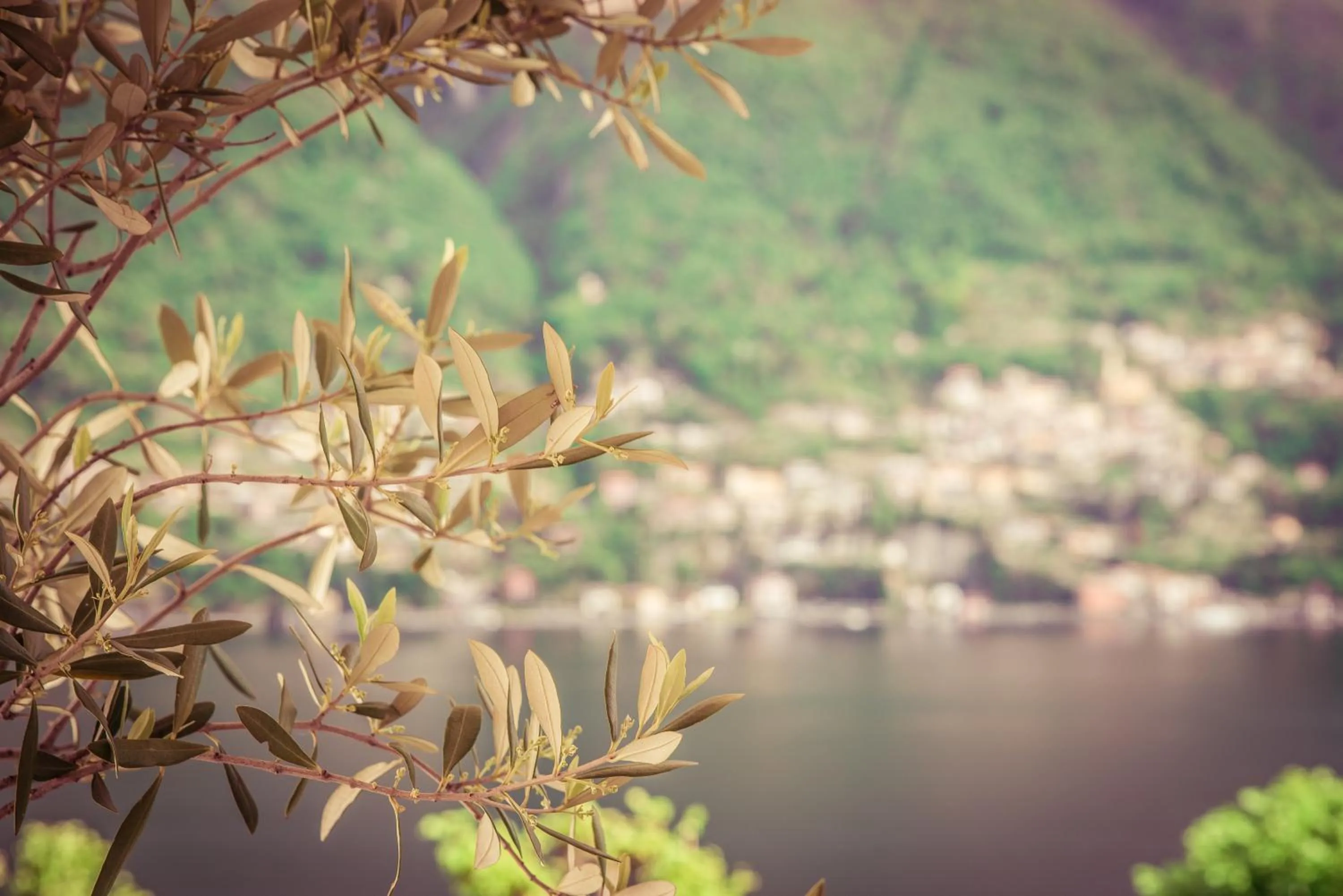 Decorative detail in Hotel Bersagliere