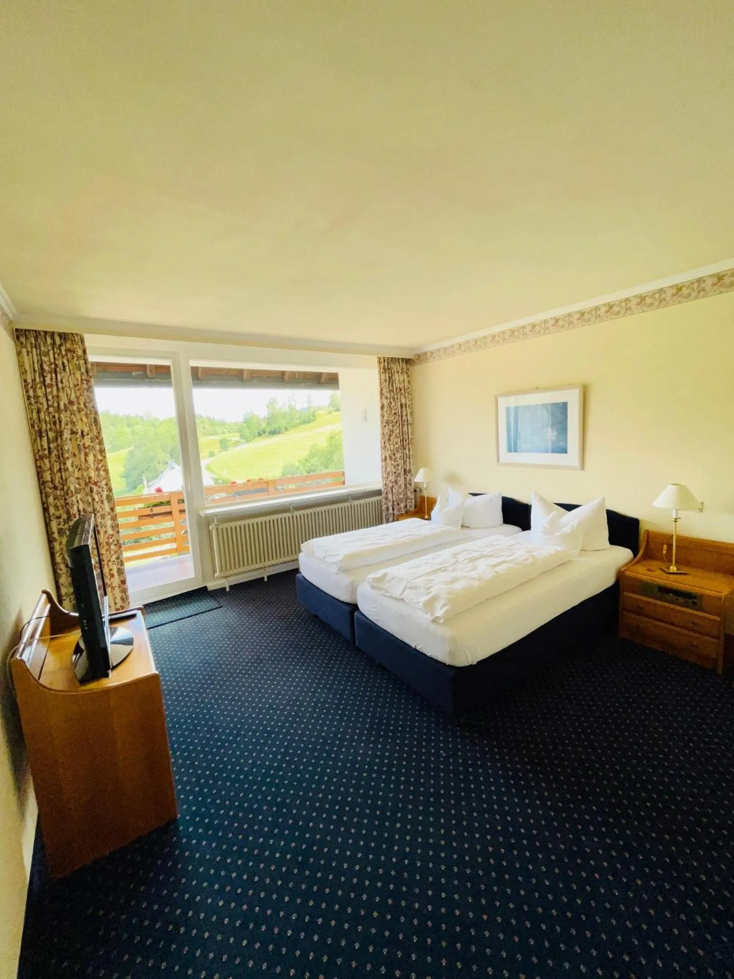 View (from property/room) in Hotel Sonnenberg Garni