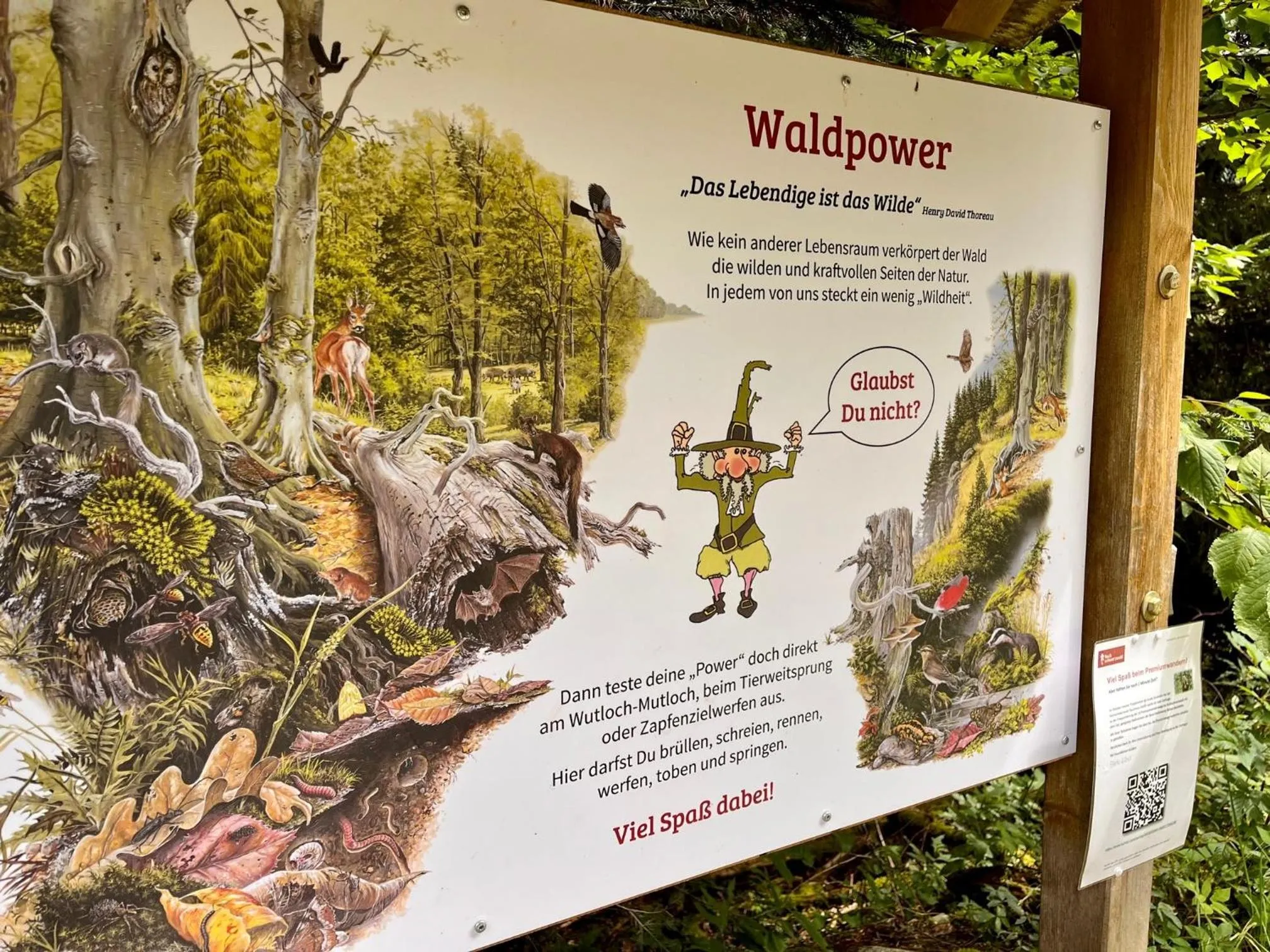 Children play ground in Hotel Sonnenberg Garni