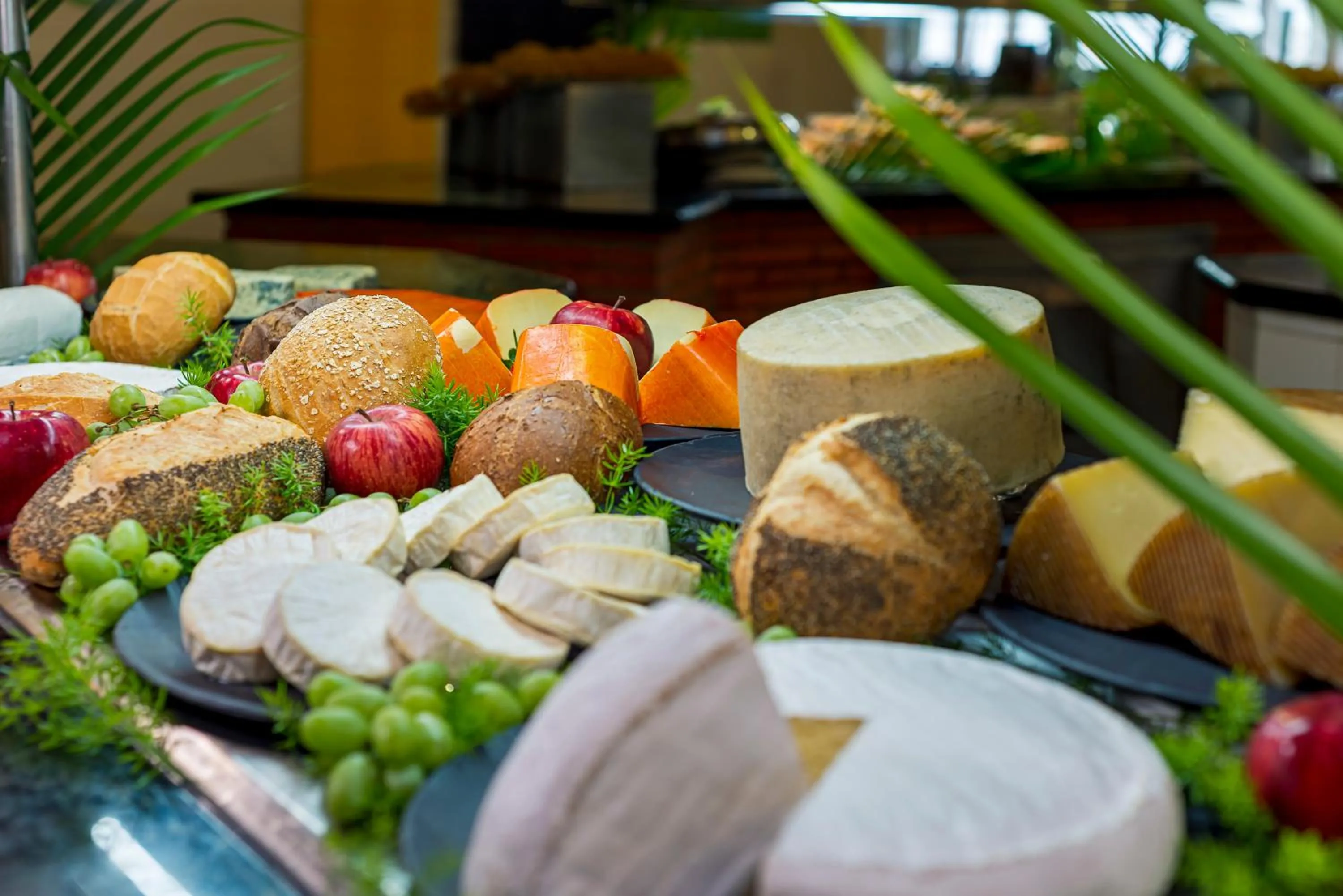 Food and drinks in Catalonia Punta Cana - All Inclusive