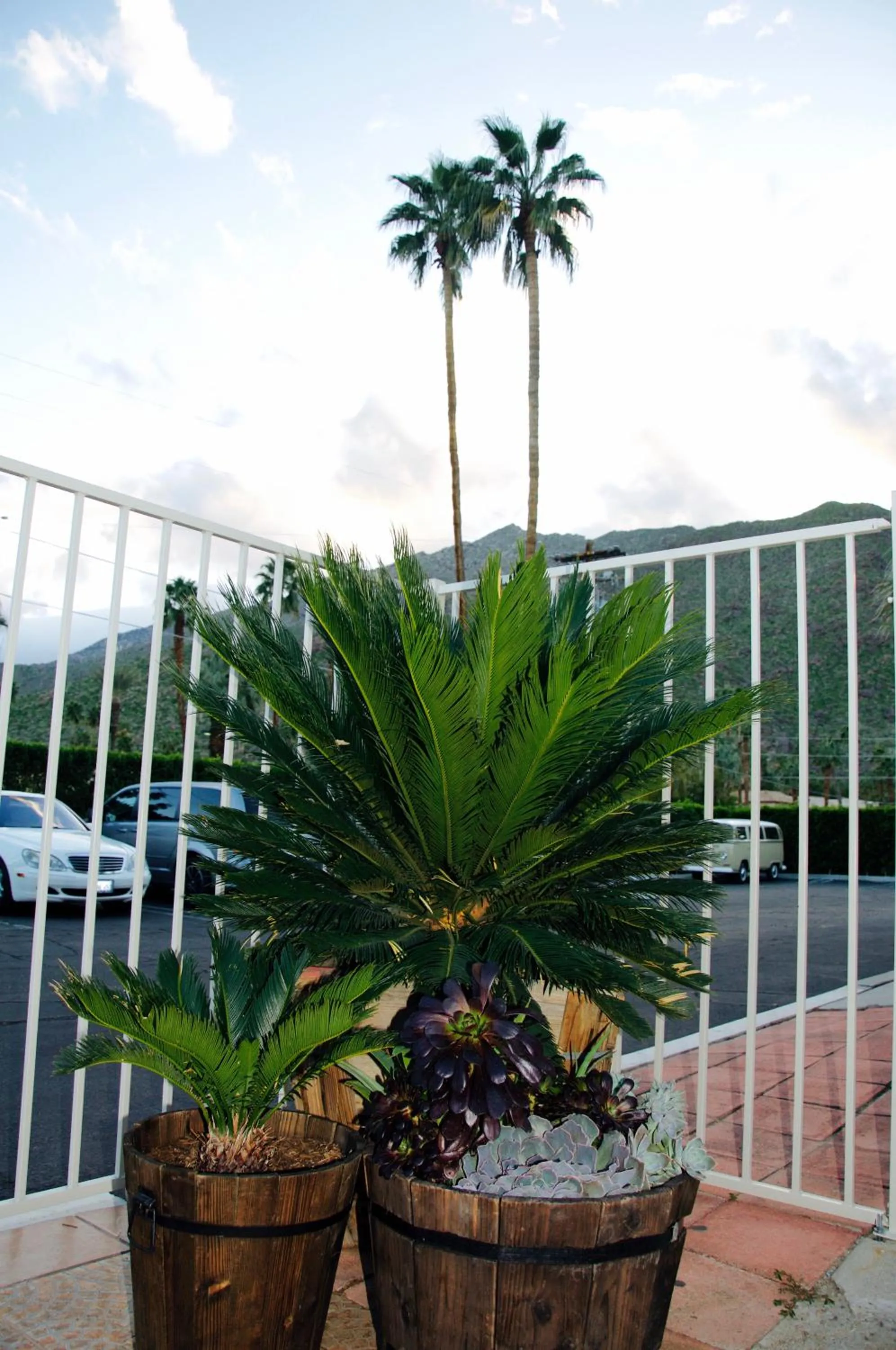 Property building in Delos Reyes Palm Springs