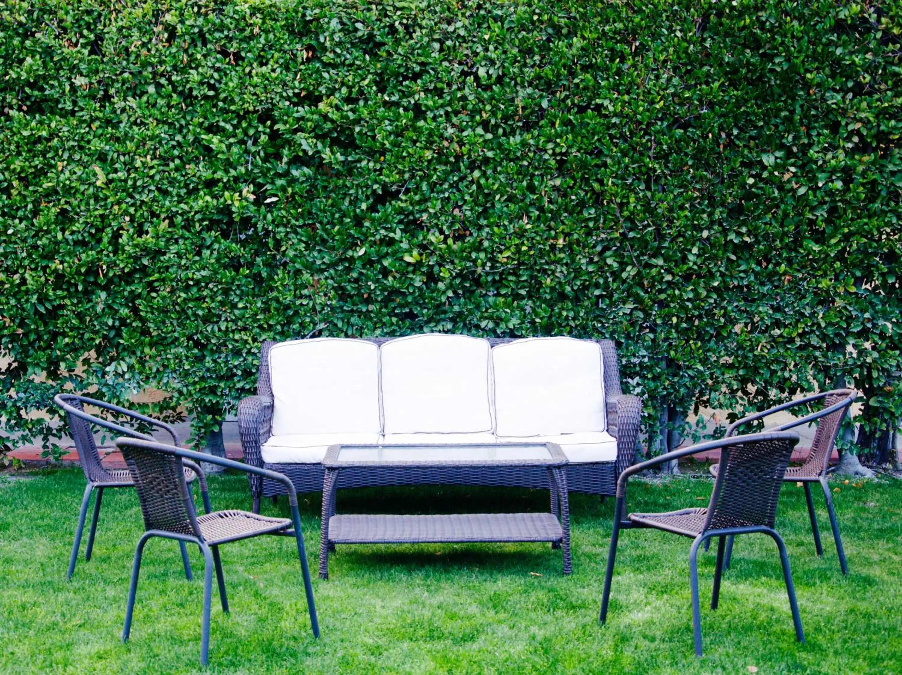 Garden in Delos Reyes Palm Springs