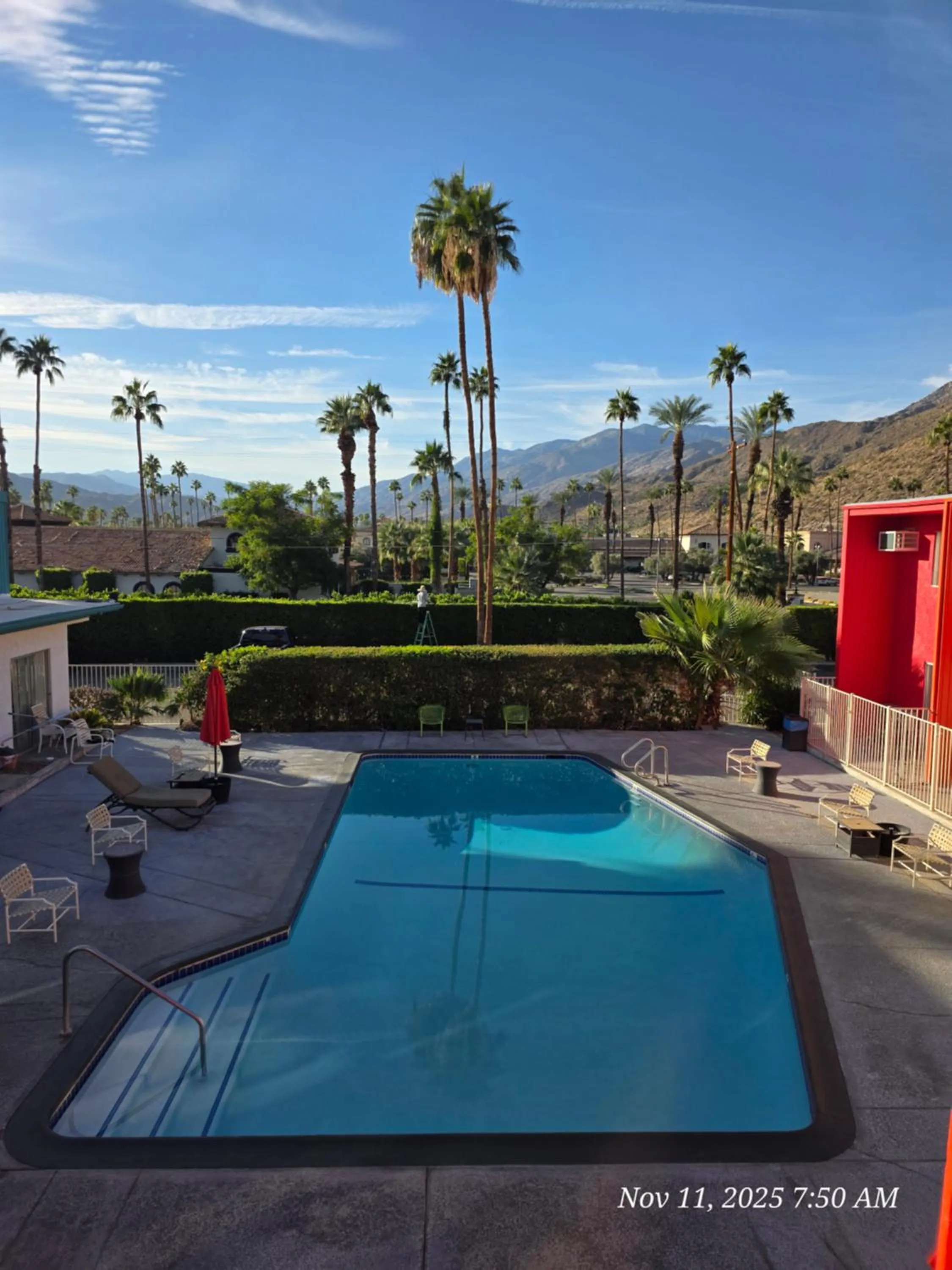 Pool view in Delos Reyes Palm Springs
