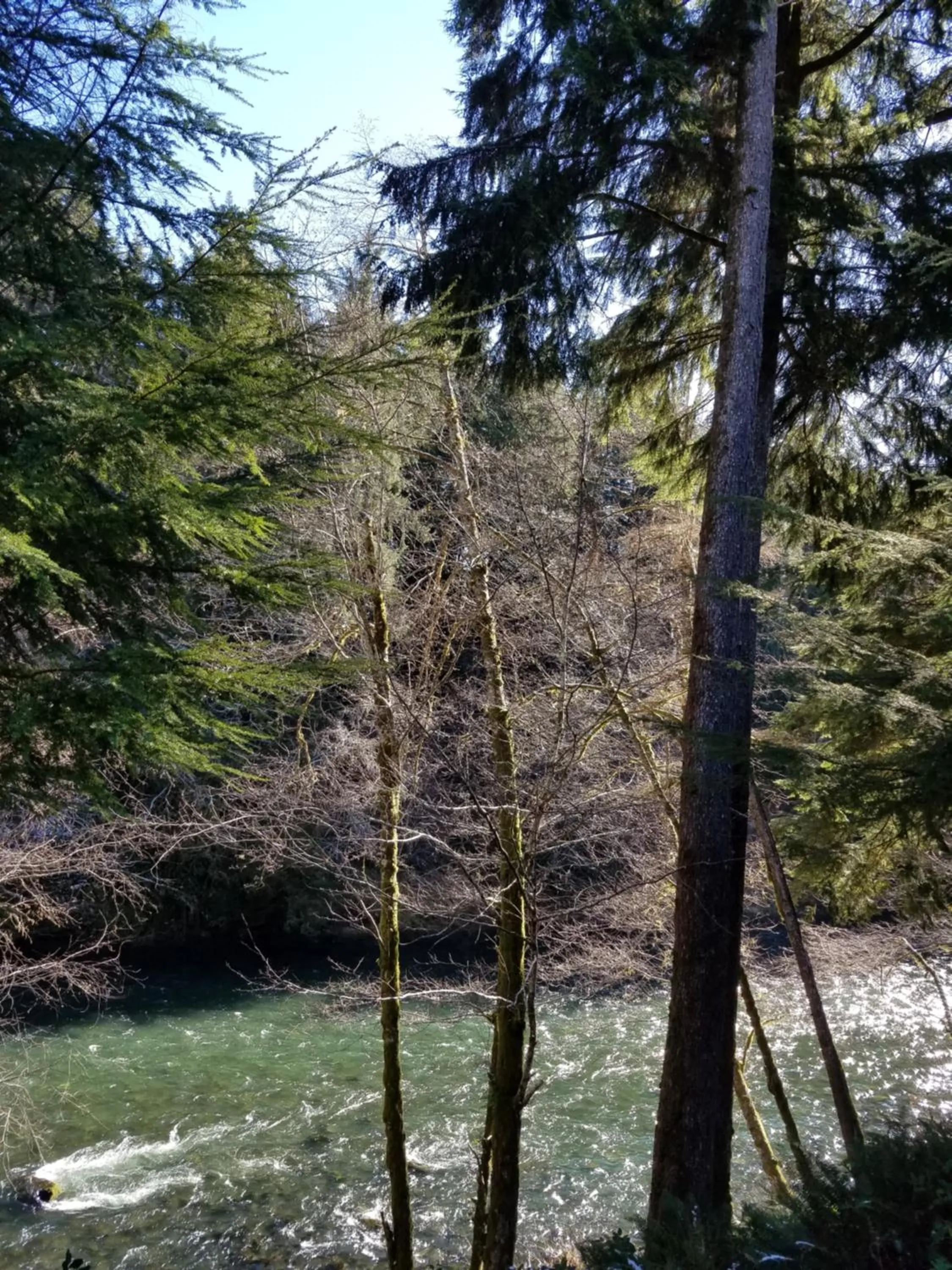 Patio in A Relaxing Getaway SolDuc 1