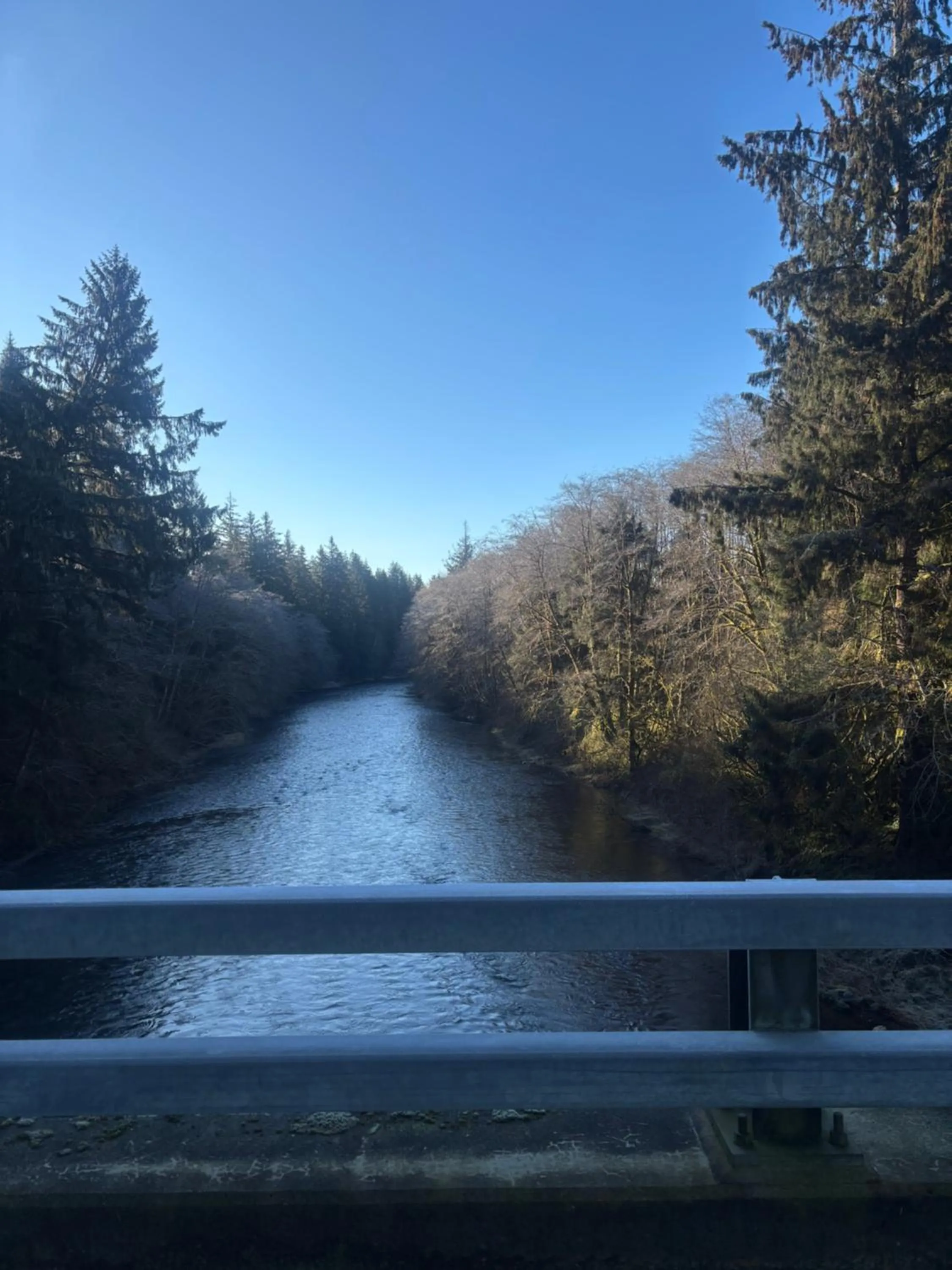 Nearby landmark in A Relaxing Getaway SolDuc 1