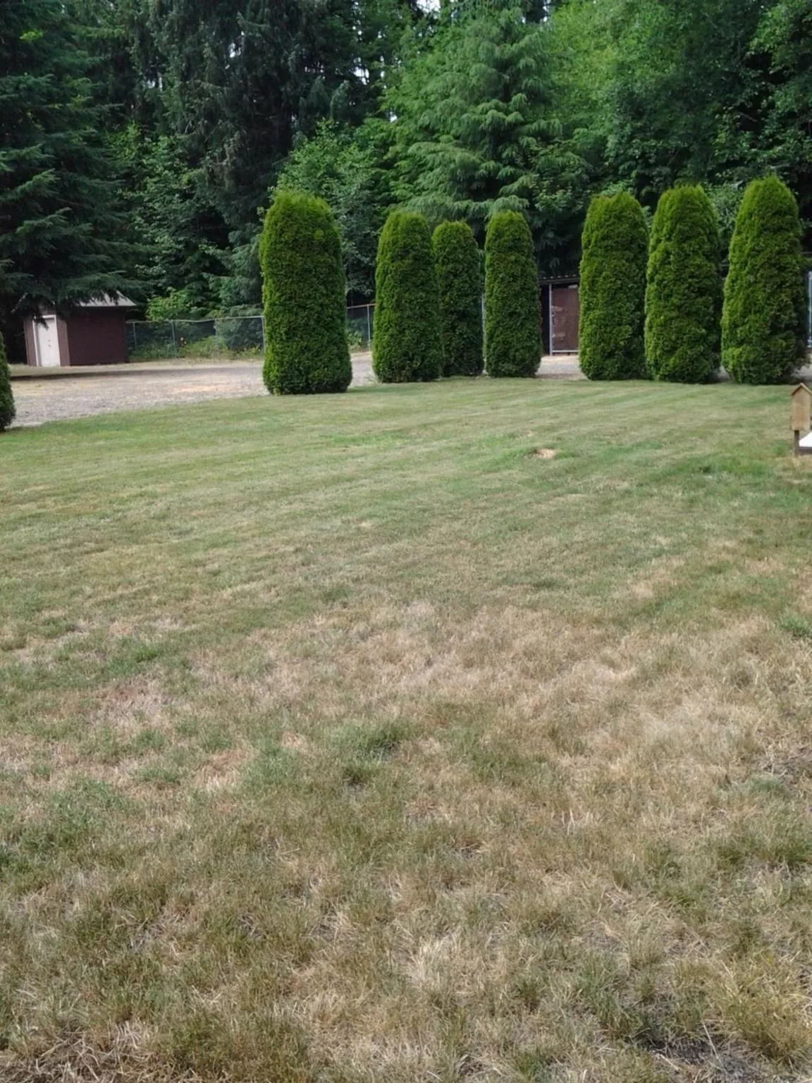 Garden in A Relaxing Getaway SolDuc 1