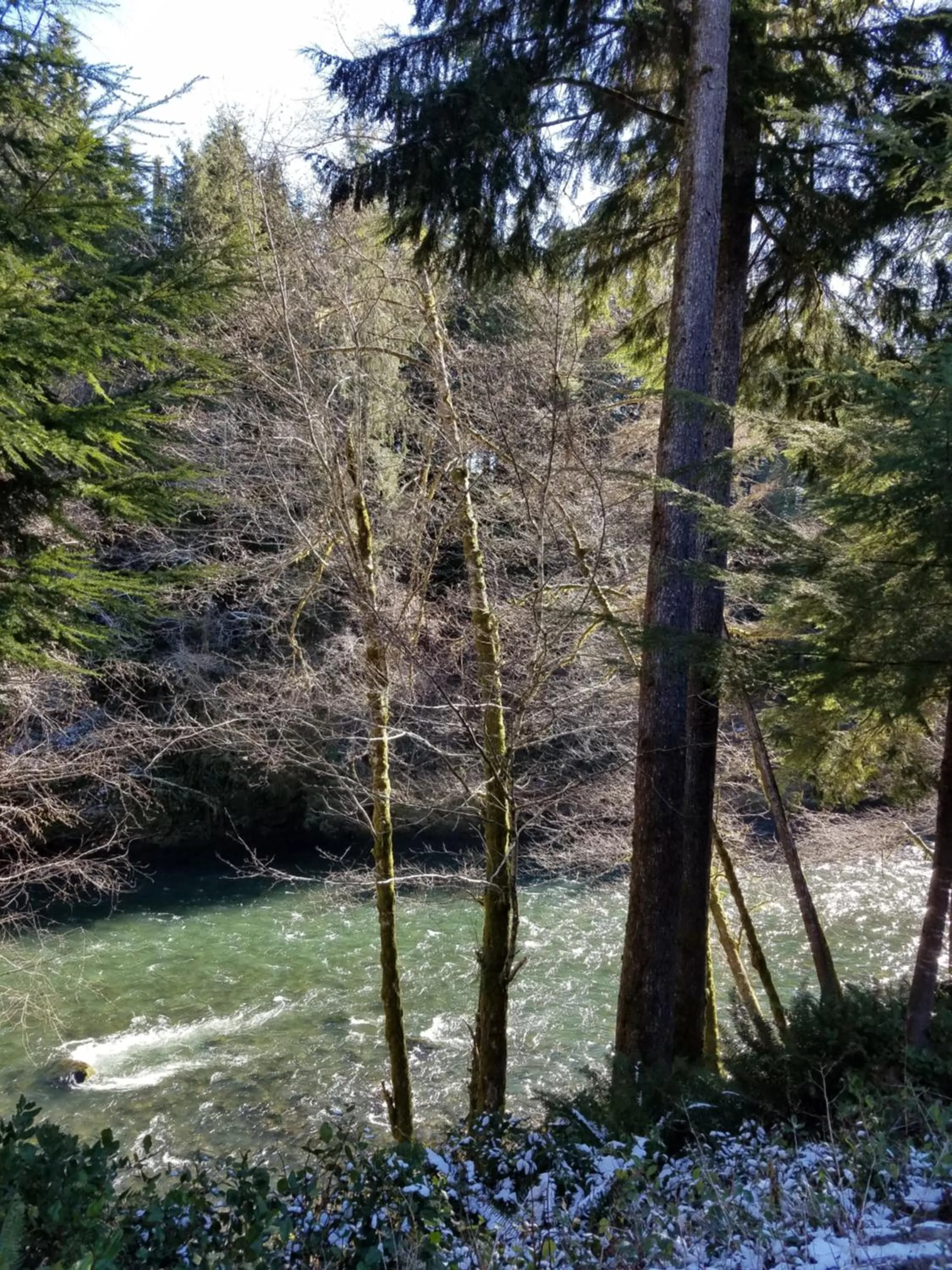 Patio in A Relaxing Getaway SolDuc 1